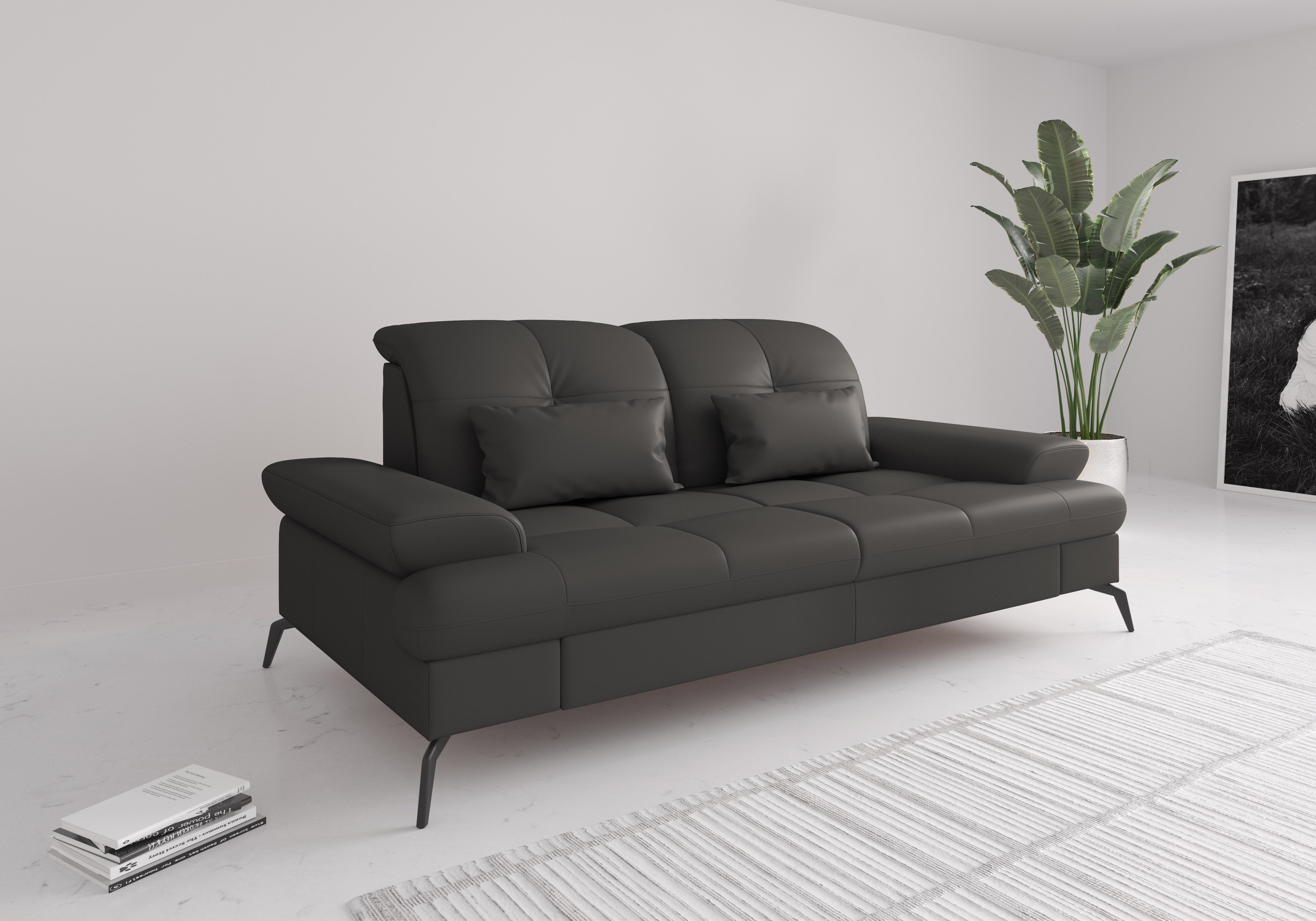 sit&more 2,5-Sitzer Amica, inkl. Sitztiefenverstellung und Armteilverstellung, wahlweise mit Kopfteilverstellung und Bettfunktion