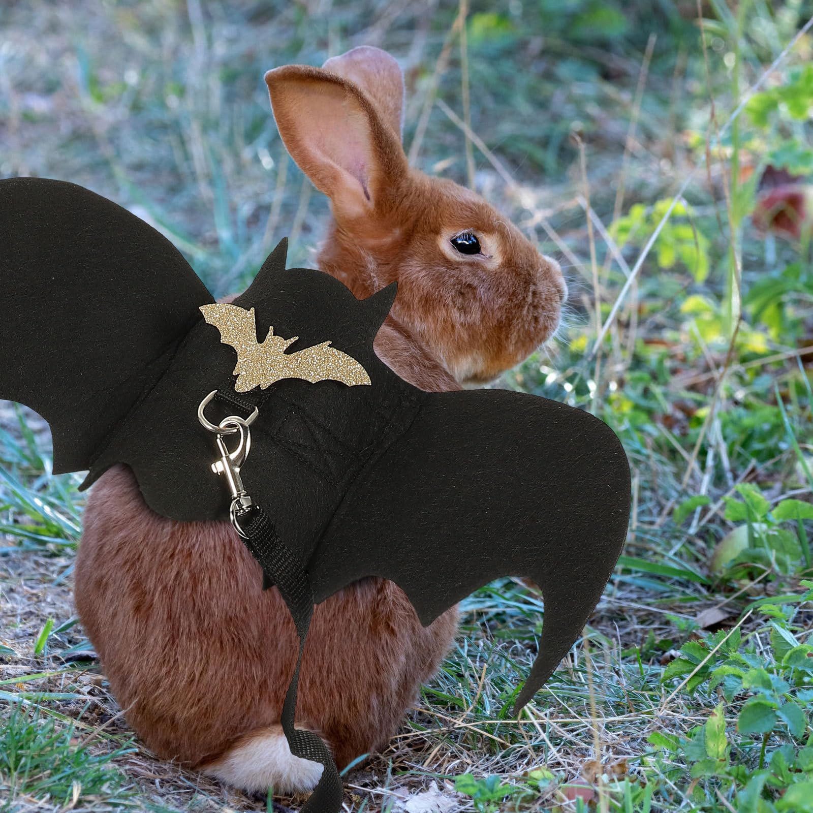 Bomiclss Hundekostüm Halloween-Kostüm für kleine Hunde, Fledermausflügel mit Kürbisglocke, Halloween-Kostüm für Hunde und Katzen, Party-Dekoration