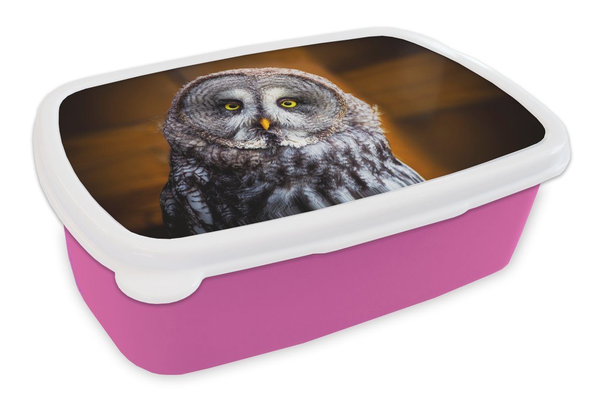 MuchoWow Lunchbox Porträt des Lapplandkauzes, Kunststoff, (2-tlg), Brotbox für Erwachsene, Brotdose Kinder, Snackbox, Mädchen, Kunststoff rosa