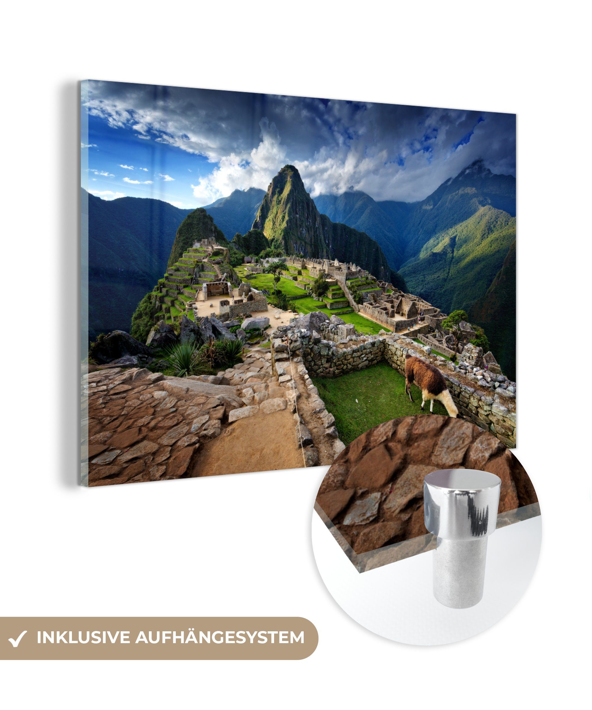 MuchoWow Acrylglasbild Lama - Machu Picchu - Gras, (1 St), Acrylglasbilder Wohnzimmer & Schlafzimmer