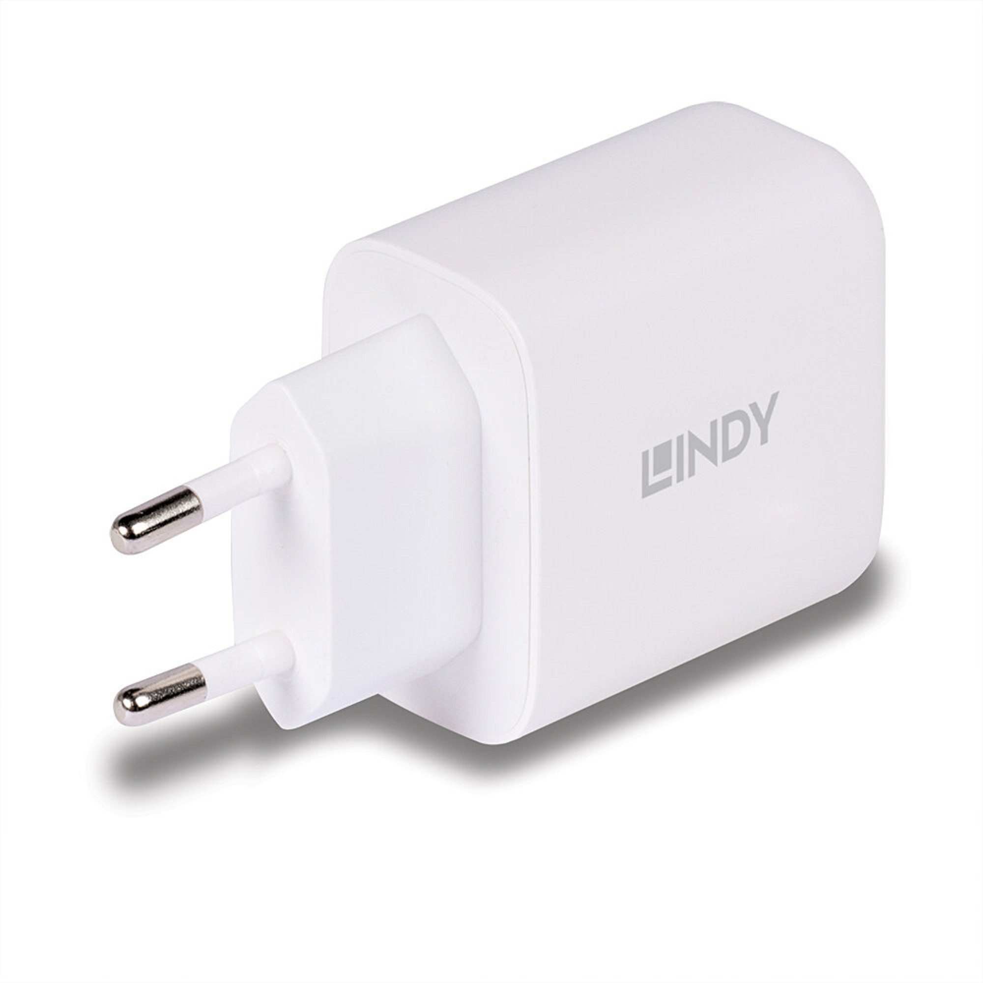 Lindy Lindy Ladegerät 65 Watt USB-A & C GaN Charger, (1x USB-Ladegerät
