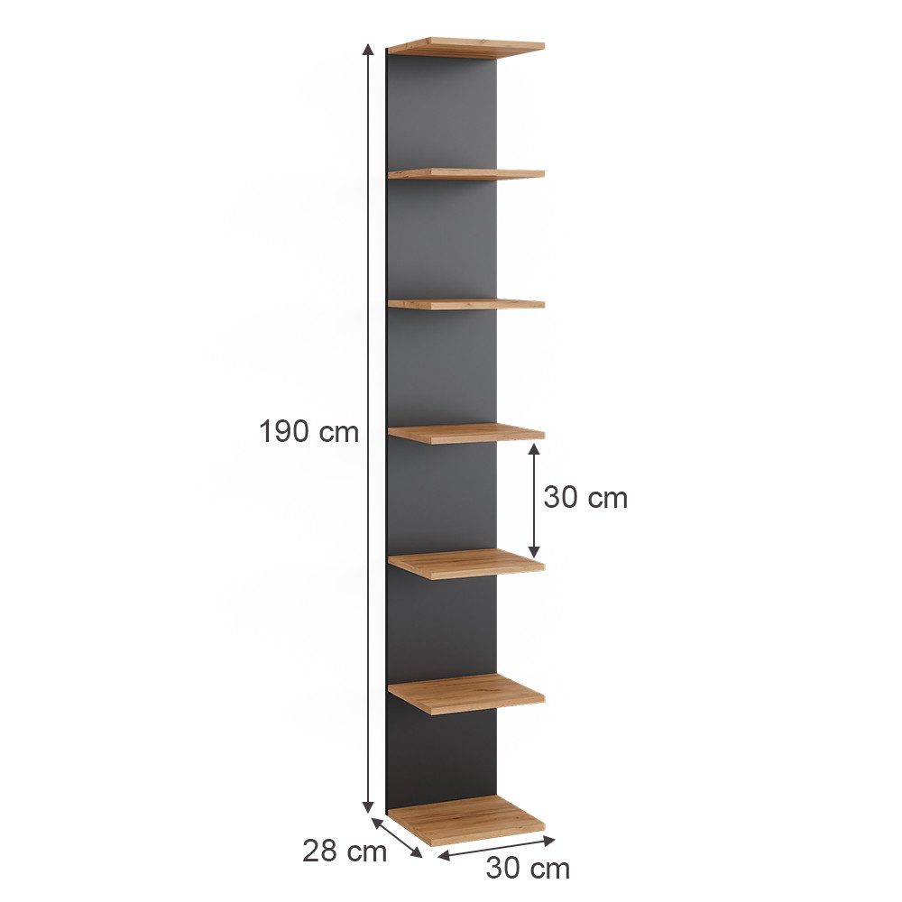 Vicco Bücherregal Paolo, Anthrazit/Goldkraft Eiche, 30 x 190 cm, 1-tlg.