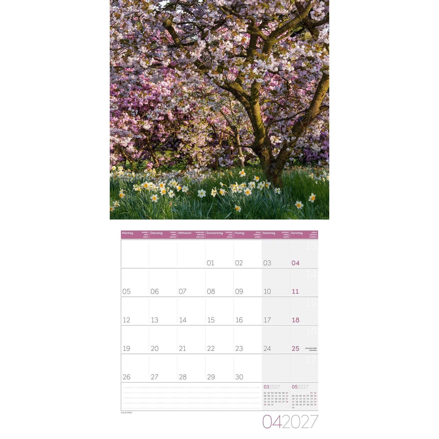 Ackermann Wandkalender In meinem Garten Kalender 2027 - 30x30 - Art12 – Bild 5 von 5