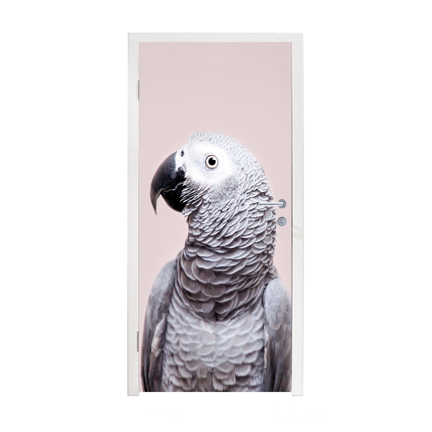 MuchoWow Türtapete Papagei - Grau - Tiere - Natur, Matt, bedruckt, (1 St), Fototapete für Tür, Türaufkleber, 75x205 cm