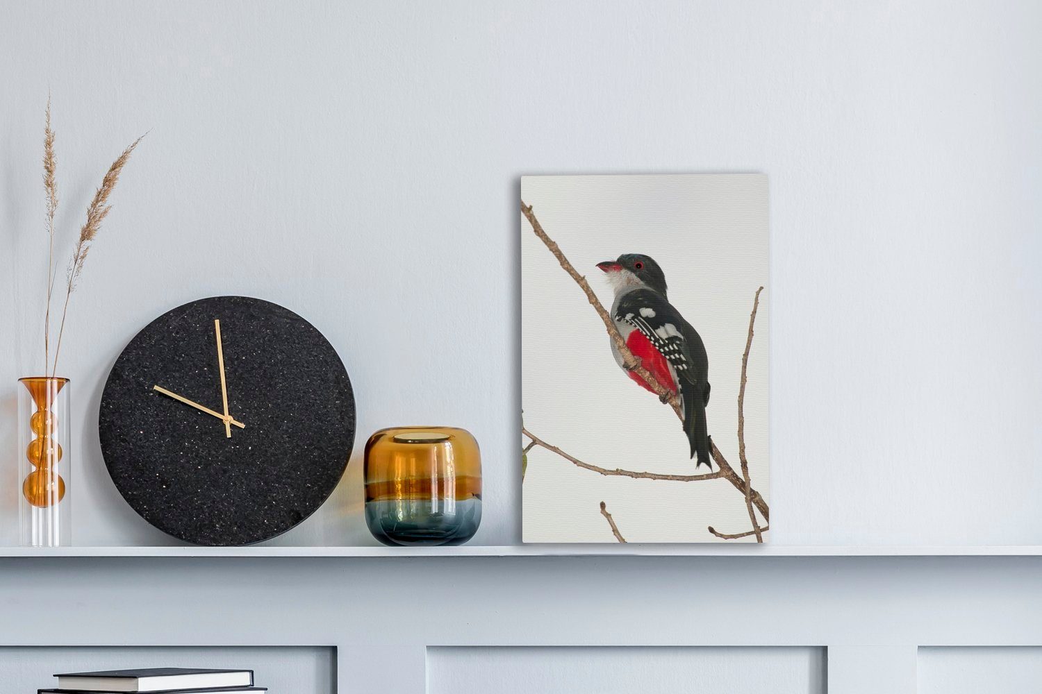 cm Ast, Gemälde, Ein Tocororo-Vogel OneMillionCanvasses® auf St), Leinwandbild fertig bespannt Zackenaufhänger, inkl. 20x30 (1 rot-schwarzer sitzt einem Leinwandbild