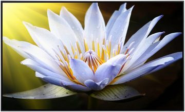Papermoon Infrarotheizung Lotus Blume, sehr angenehme Strahlungswärme