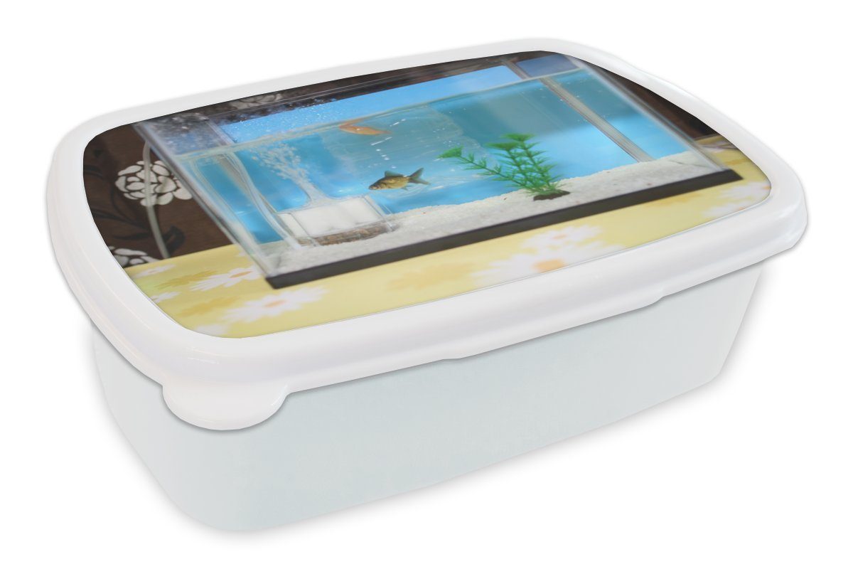 MuchoWow Lunchbox Zwei Fische in einem Aquarium, Kunststoff, (2-tlg), Brotbox für Kinder und Erwachsene, Brotdose, für Jungs und Mädchen weiß