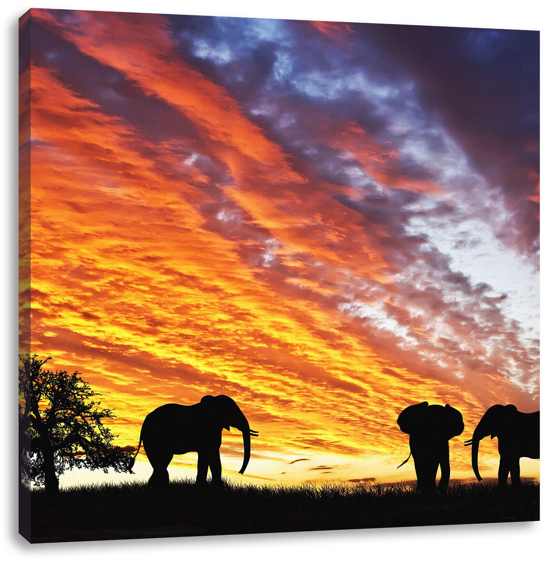 Pixxprint Leinwandbild Elefanten bespannt, Wüste Wüste, fertig inkl. (1 Elefanten in Leinwandbild in St), Zackenaufhänger
