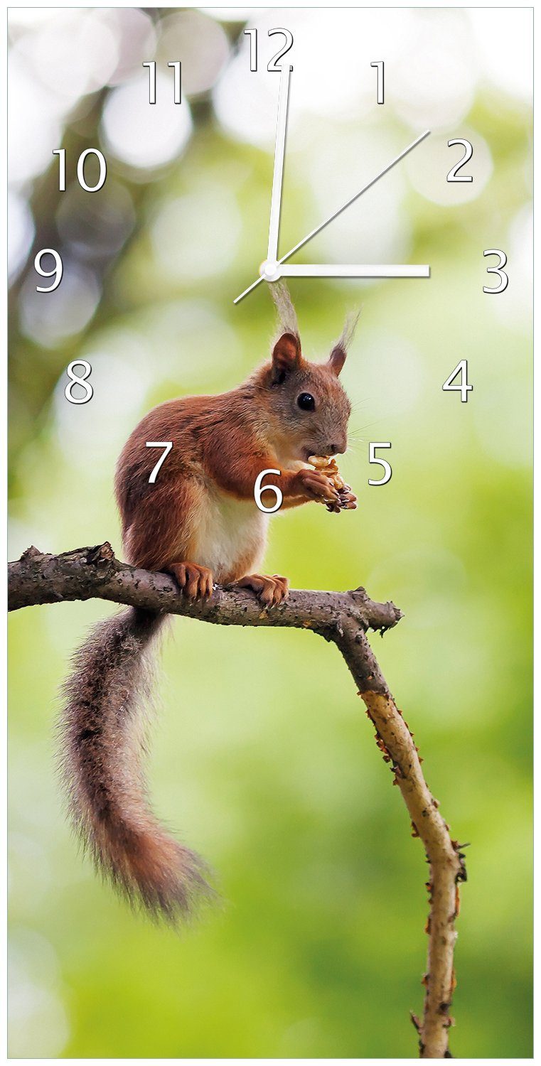 Wallario Wanduhr Eichhörnchen auf einem Ast (Uhr aus Acryl)