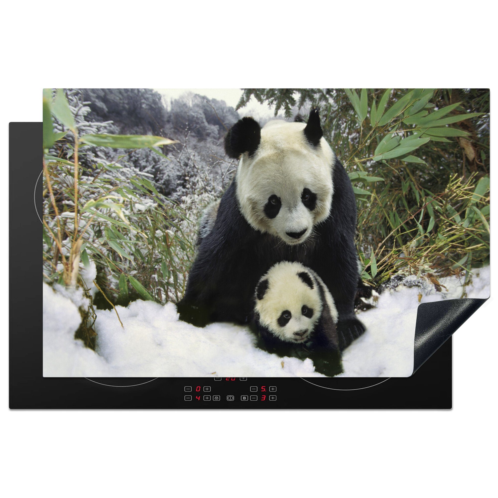 MuchoWow Herdblende-/Abdeckplatte Panda - Winter - Schnee, Vinyl, (1 tlg), 81x52 cm, Induktionskochfeld Schutz für die küche, Ceranfeldabdeckung