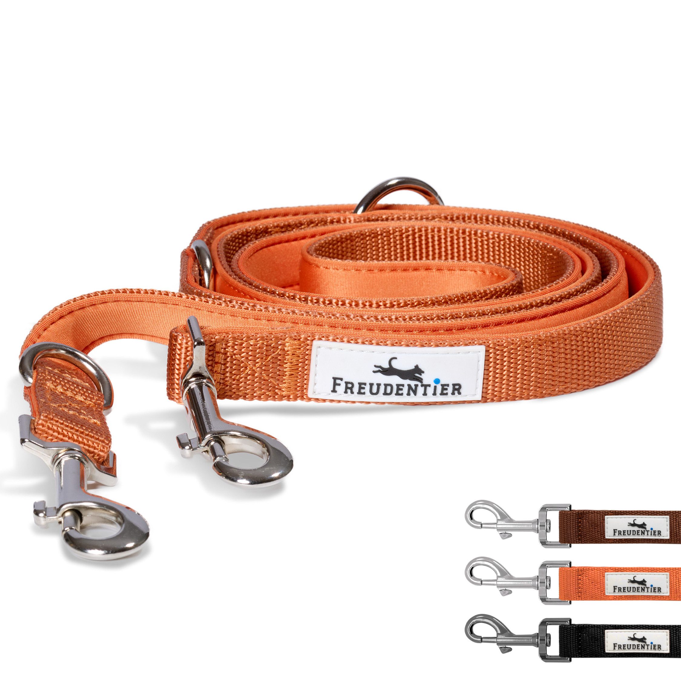 Freudentier Hundeleine 2m, verstellbar & gepolstert, Führleine aus Nylon, für mittelgroße & große Hunde