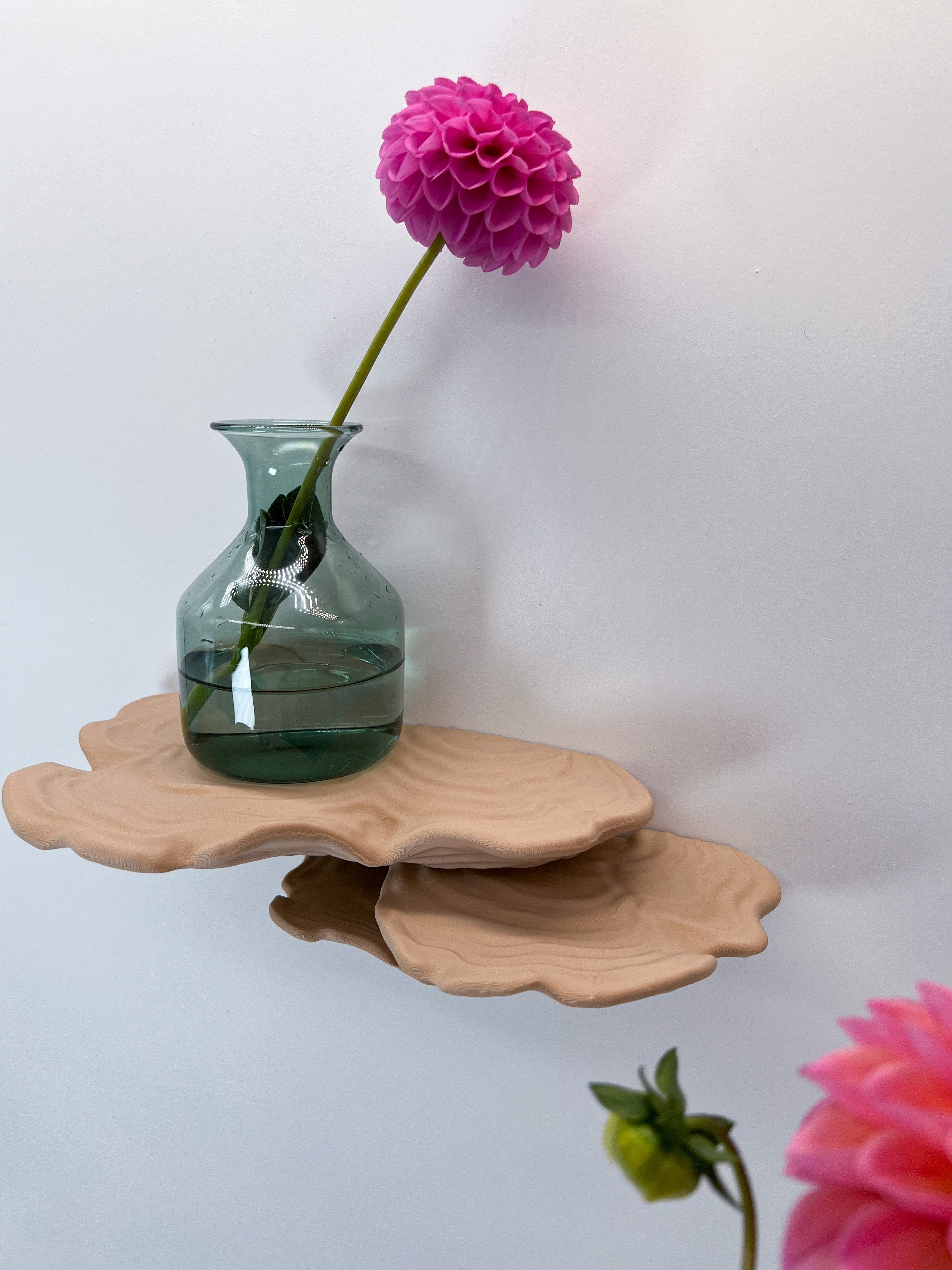 Roomberry Deko-Wandregal Schichtpilz Wandregal - Schwebendes Pilzregal – Das perfekte Wandregal, Made in Germany