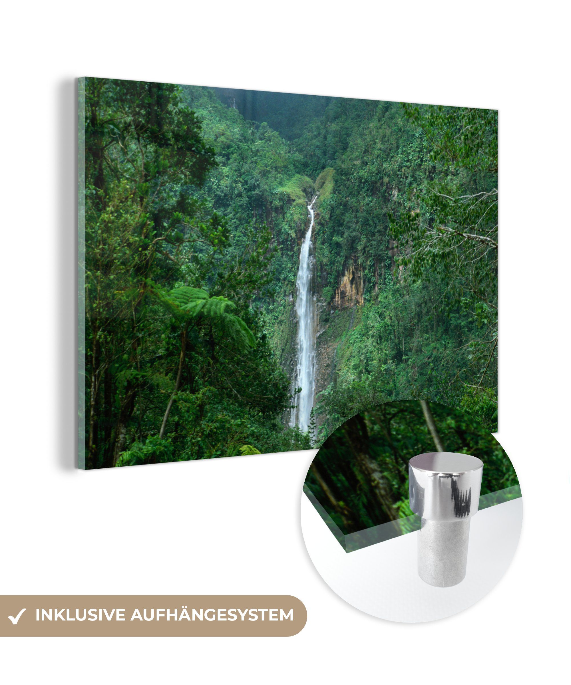 MuchoWow Acrylglasbild Wasserfall auf Guadeloupe, (1 St), Acrylglasbilder Wohnzimmer & Schlafzimmer