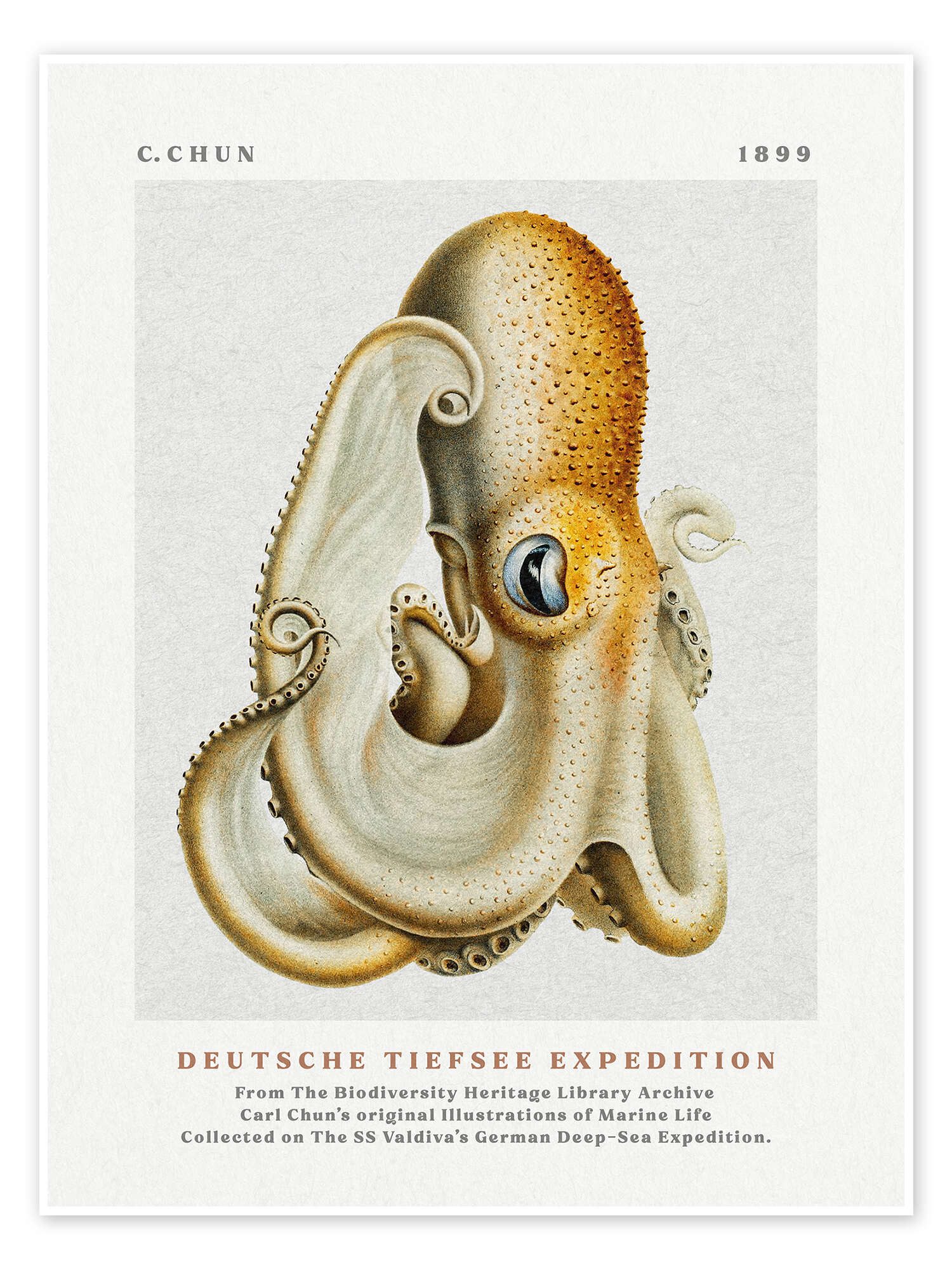 Posterlounge Wandbild Deutsche Tiefsee Expedition I, Carl Chun, erhältlich als Poster, Leinwandbild, Wandsticker oder Acrylglasbild
