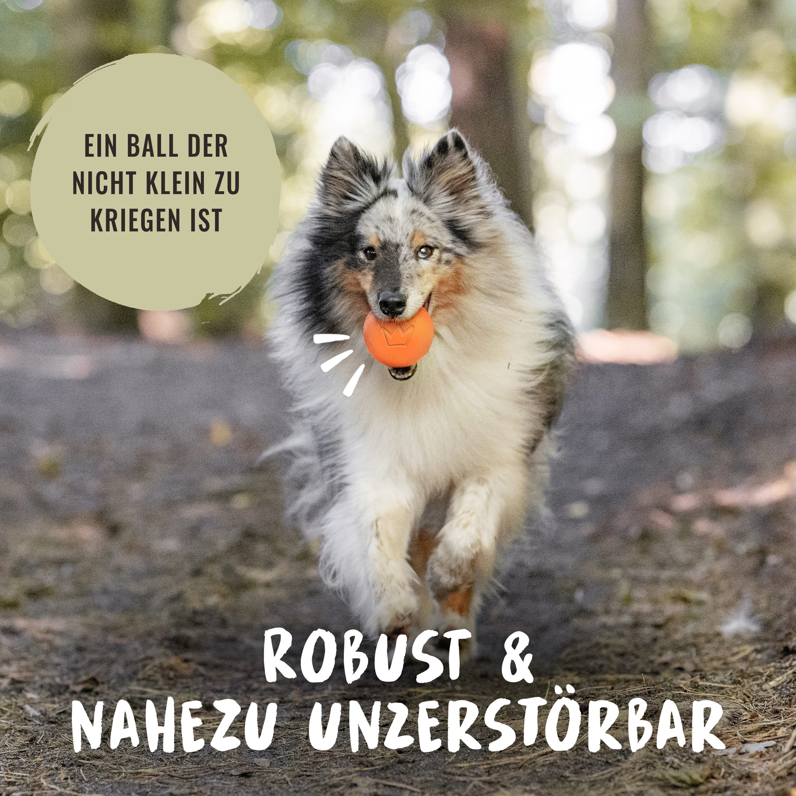 Rudelkönig Tierball Hundeball aus Naturkautschuk, Robustes Hundespielzeug, Naturkautschuk, (1-tlg) Nahezu unzerstörbares Hundespielzeug, Ball mit 6,5cm Ø