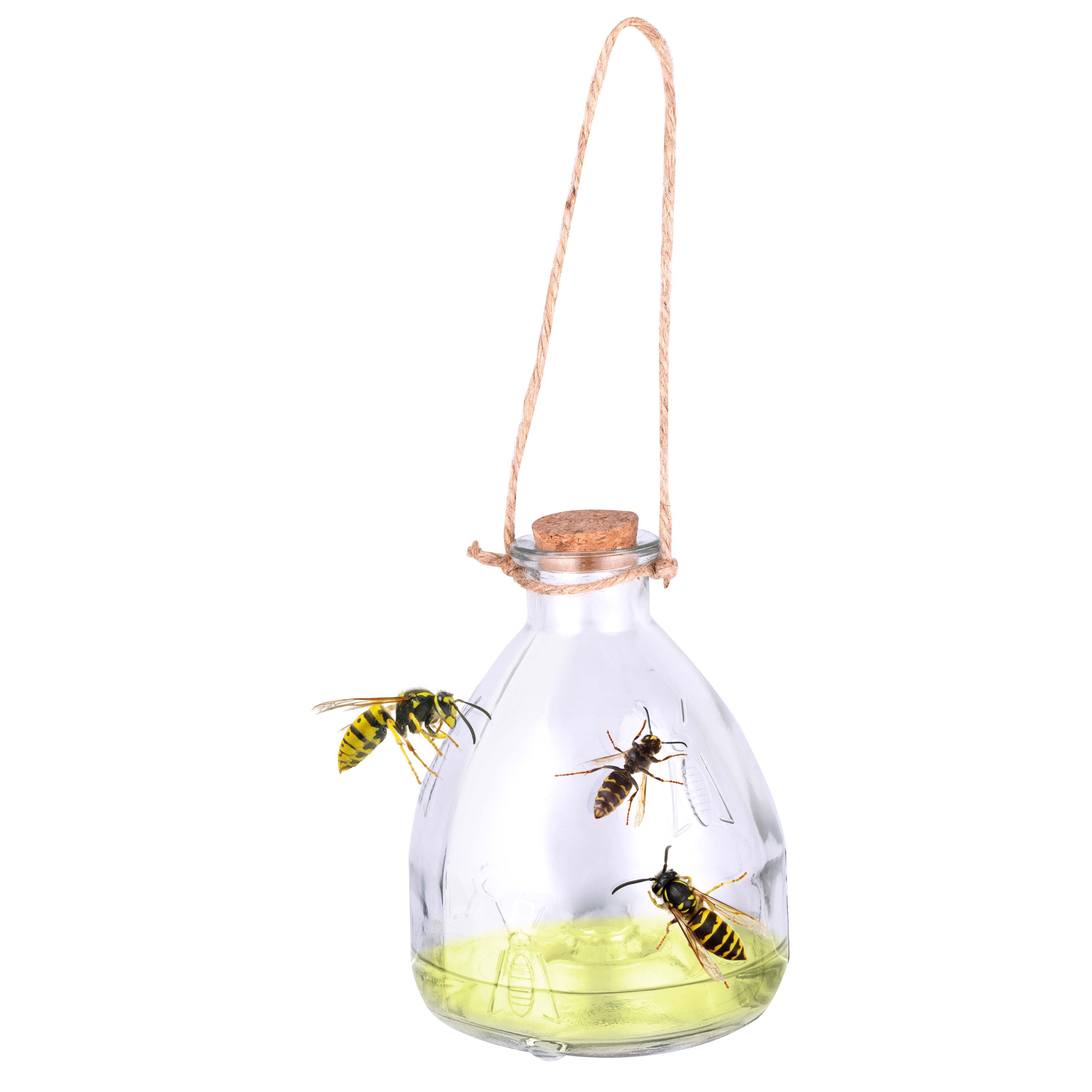Insektenfalle Wespenfalle