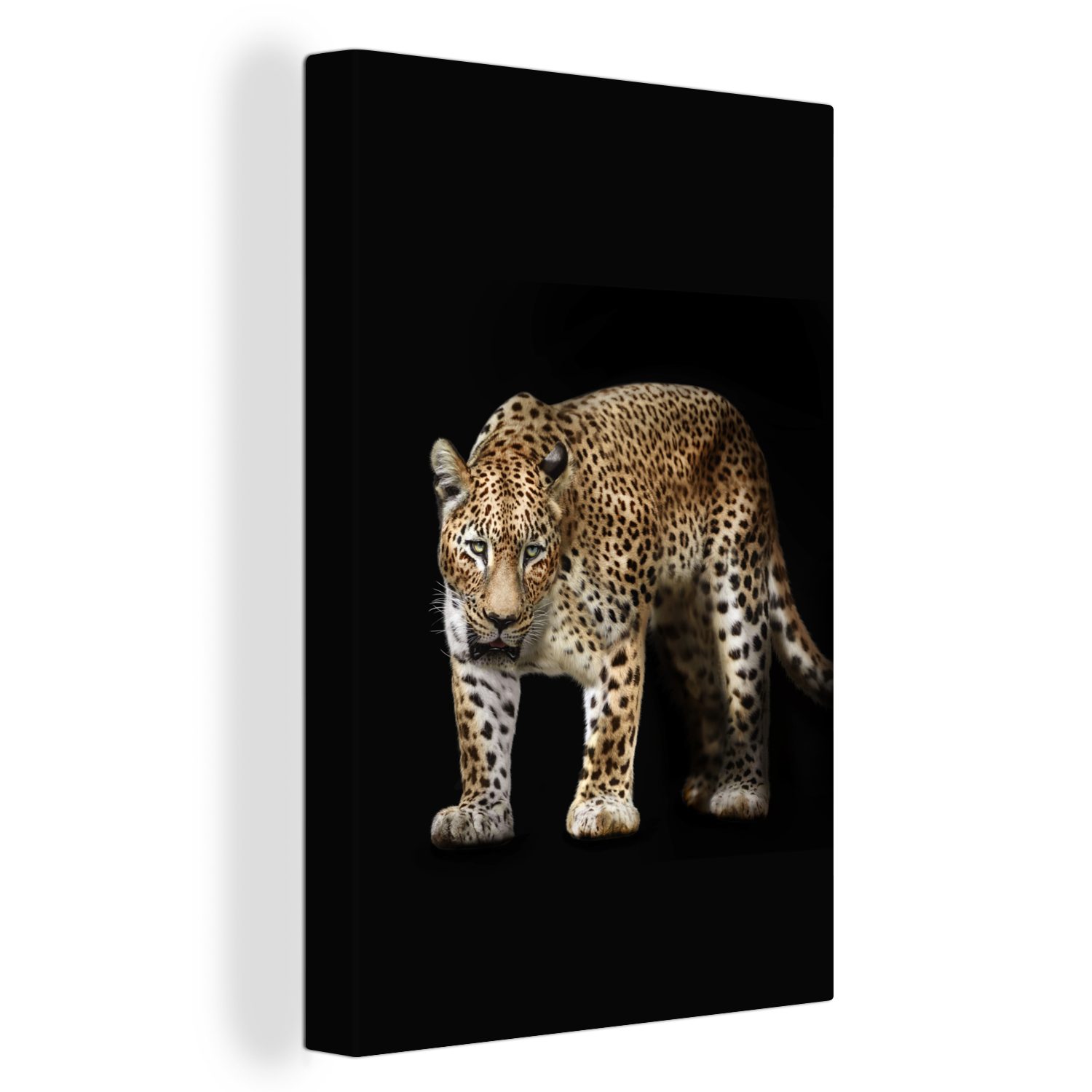 OneMillionCanvasses® Leinwandbild Leopard - Schwarz - Tiere, (1 St), Leinwandbild fertig bespannt inkl. Zackenaufhänger, Gemälde, 20x30 cm