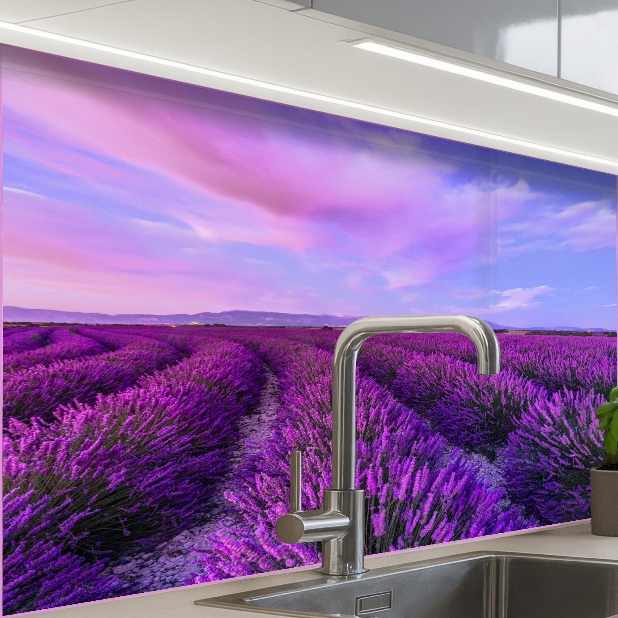 KitchenYeah Küchenrückwand selbstklebend Lavendel - Lila - Blumen - Natur, günstig online kaufen