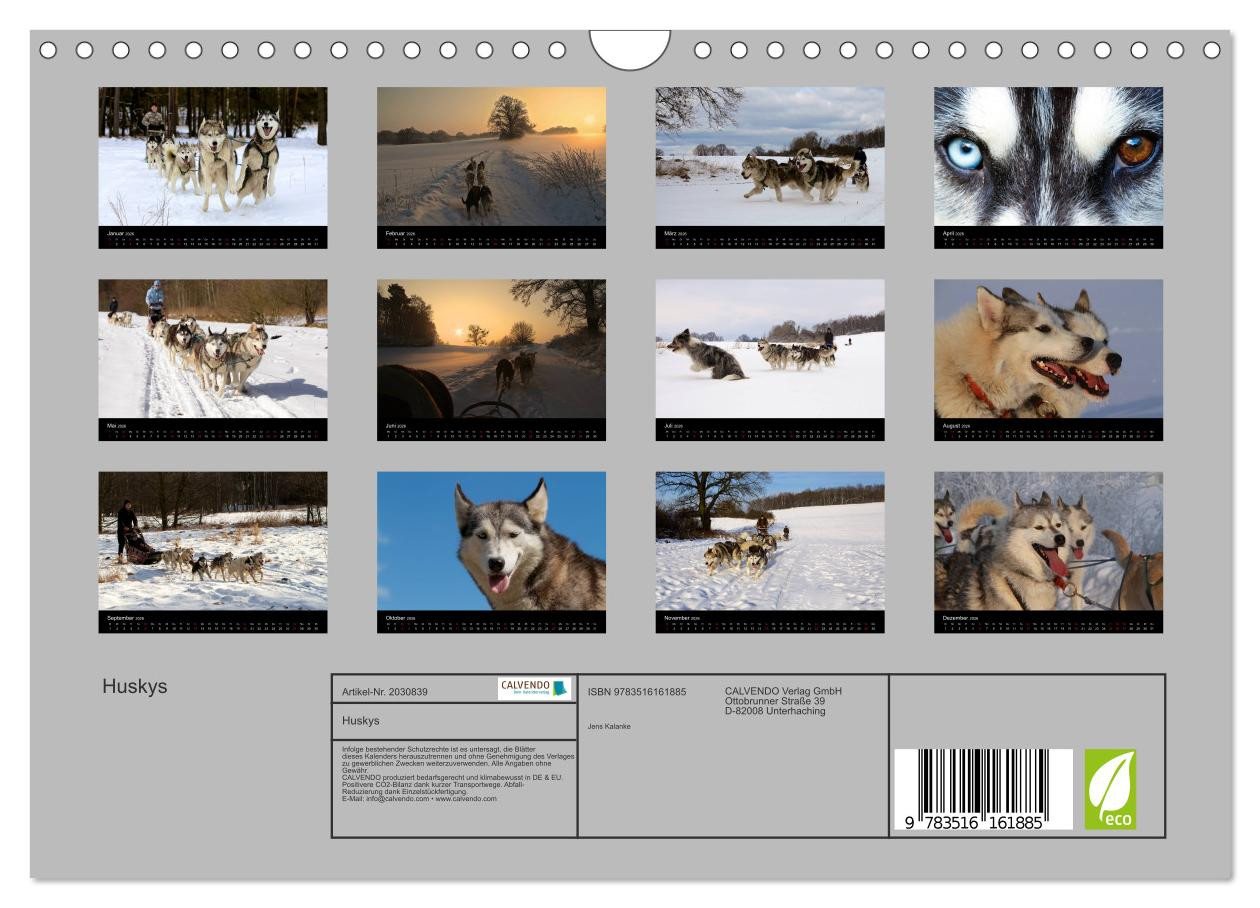 Thumbnail - CALVENDO Wandkalender Huskys (Wandkalender 2026 DIN A4 quer), CALVENDO Monatskalender