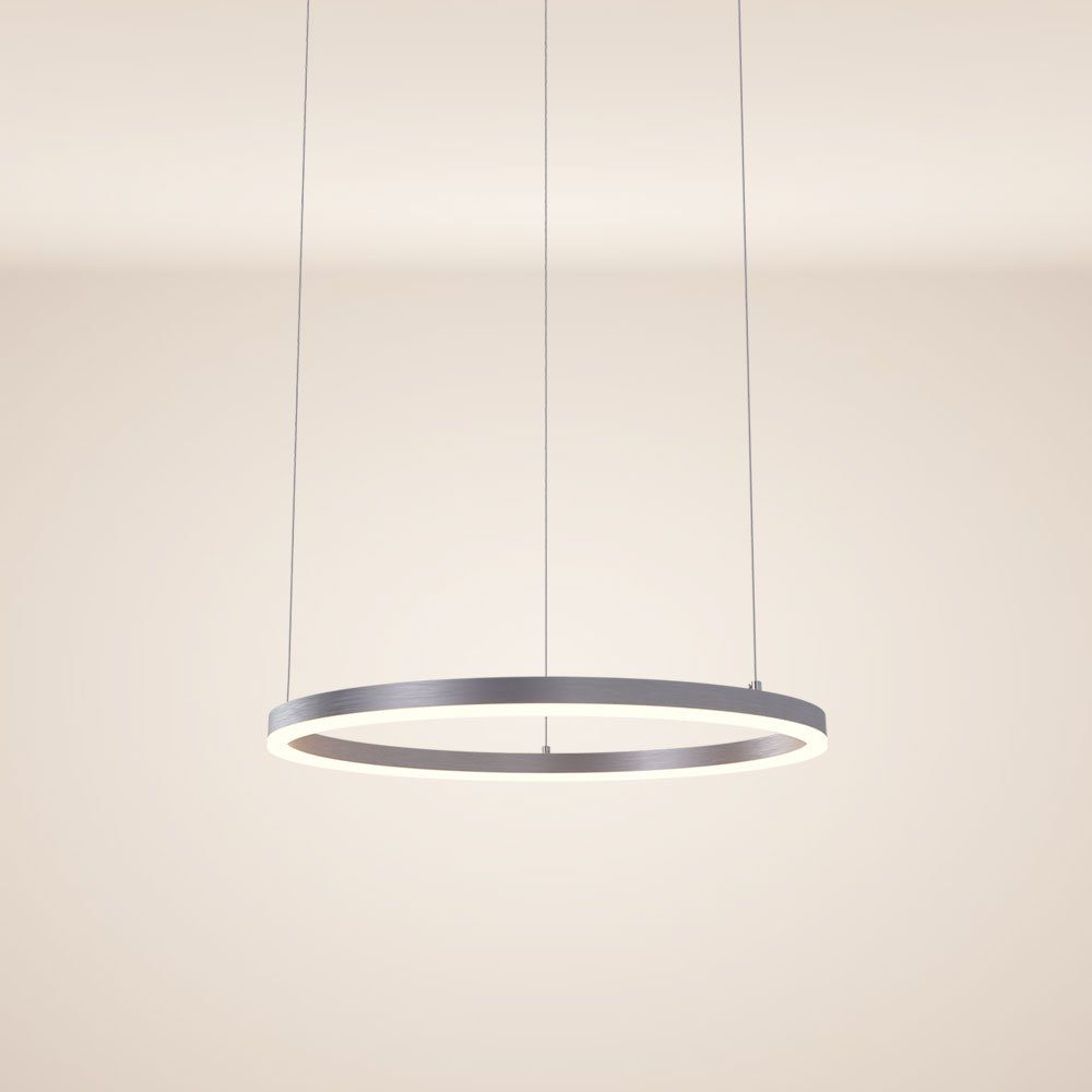 s.luce Pendelleuchte LED Pendelleuchte Ring 60 direkt oder indirekt 5m Abhängung Aluminium, Warmweiß