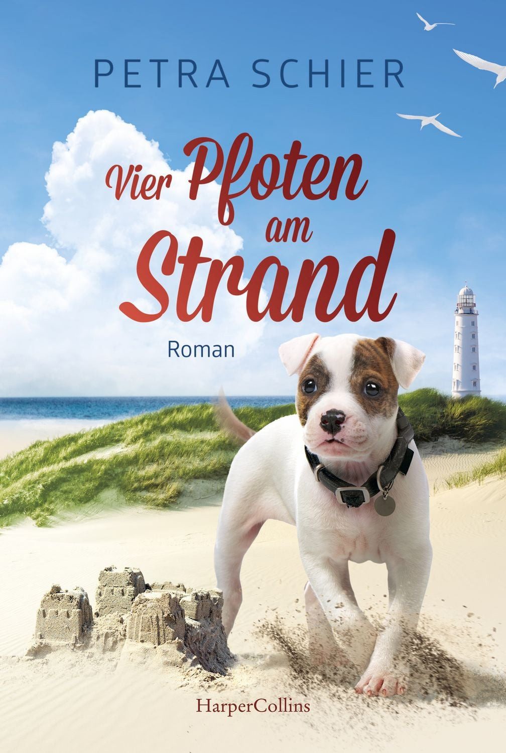 Vier Pfoten am Strand / Petra Schier