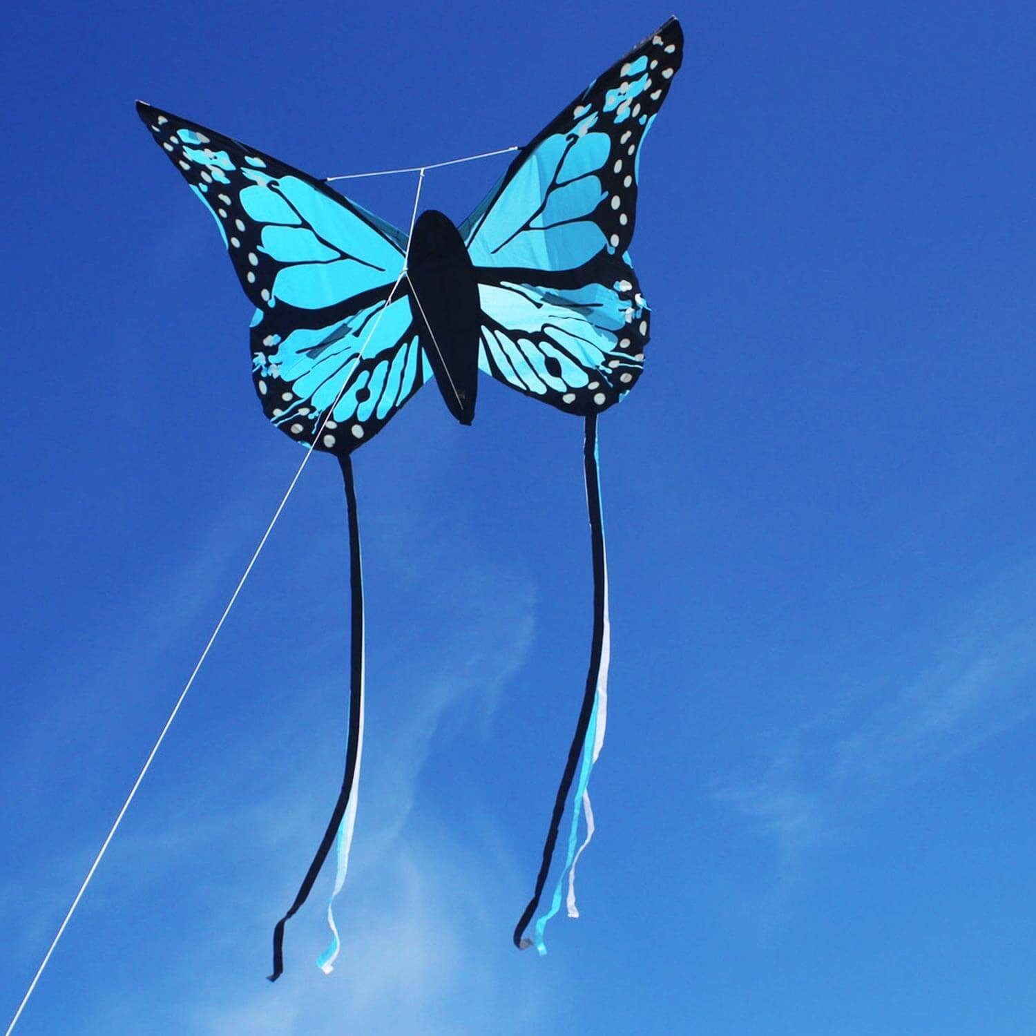 Wolkenstürmer Flug-Drache Ready to Fly Kite for Children Bella Butterfly Outdoor Drachen, (Schmetterlingsdrachen Blau ab 3 Jahren Outdoor Spielzeug, 1-tlg), Strandspielzeug, Flugfertiger Kinderdrachen 110 cm (blau)
