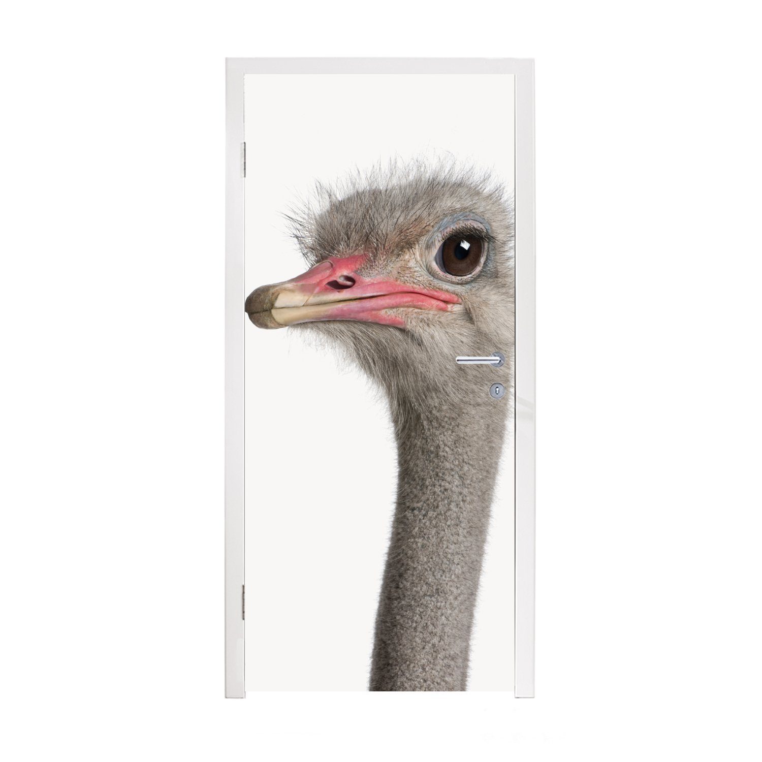 MuchoWow Türtapete Strauß - Tiere - Kinder - Jungen - Mädchen - Vogel, Matt, bedruckt, (1 St), Fototapete für Tür, Türaufkleber, 75x205 cm