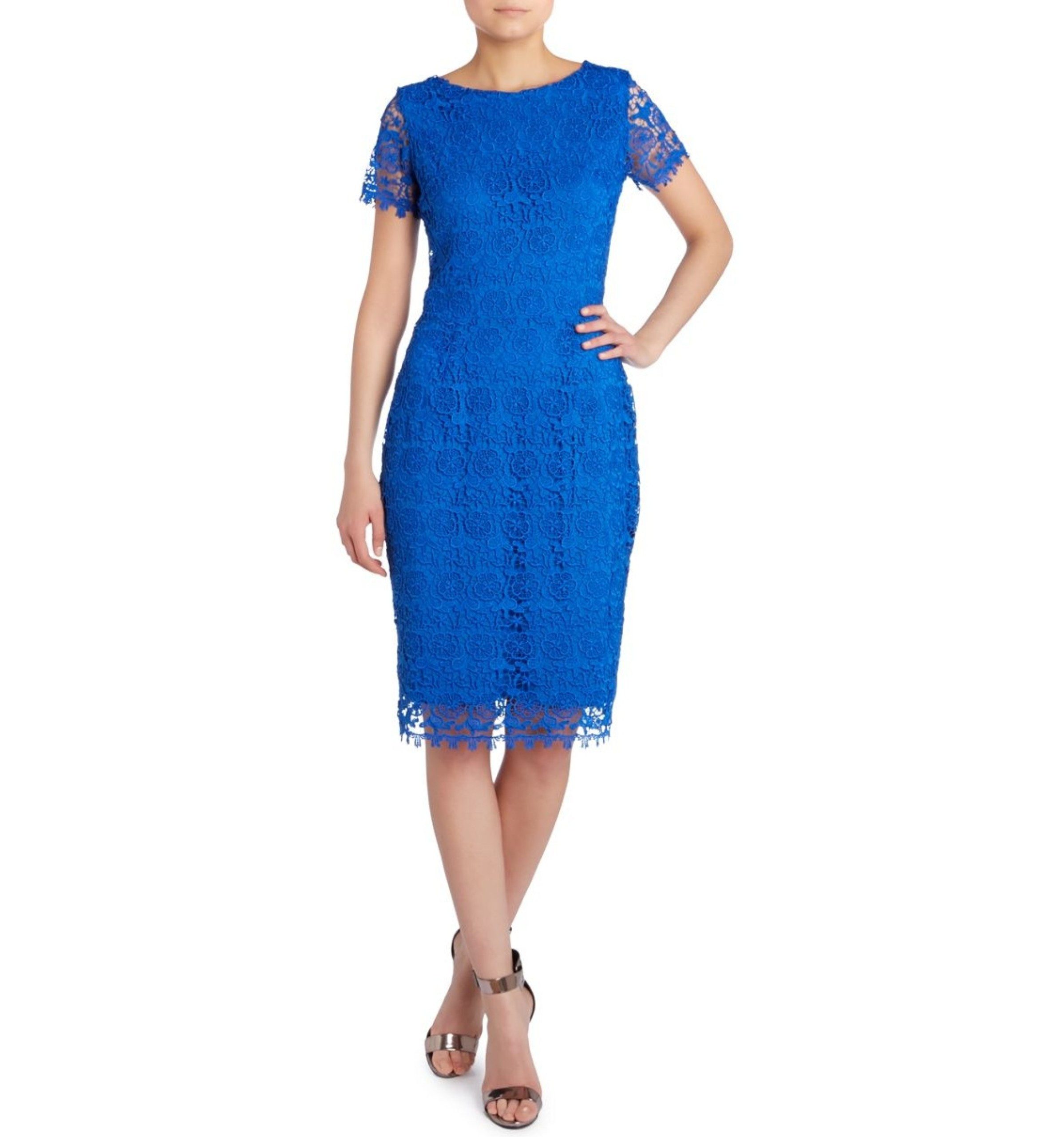 Sarcia.eu Spitzenkleid Figurbetont Mittellang Midi Cocktailkleid Kobalt aus Gipürespitze S