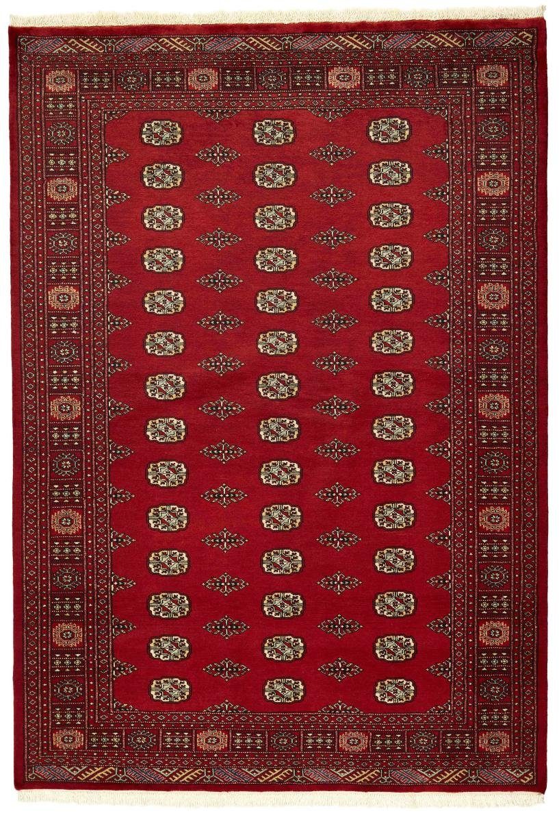 Orientteppich Pakistan Buchara 2ply 171x247 Handgeknüpfter Orientteppich, Nain Trading, rechteckig, Höhe: 8 mm