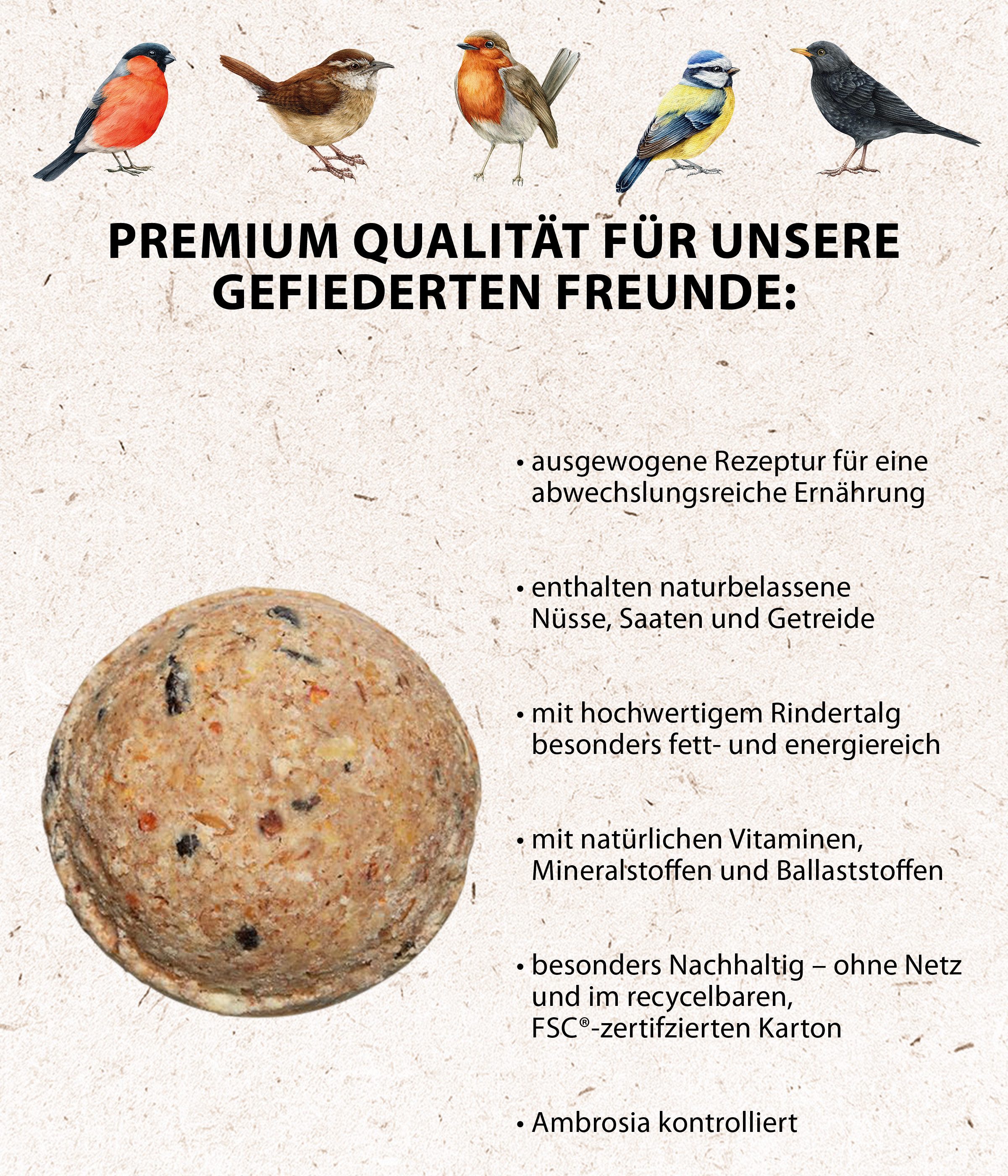 Dehner Natura Große Meisenknödel, ohne Netz, 30 Stück je 90 Gramm (2.7 kg), Hauptfutter für: Wildvogel, Gartenvögel, im Karton, hochwertiges Wildvogelfutter zur ganzjährigen Fütterung
