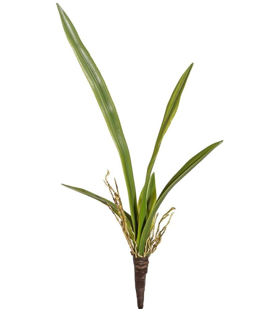 Kunstorchidee Künstl. ORCHIDEENLAUB 45cm. Mit 6 Orchideenblätter und Luftwu günstig online kaufen