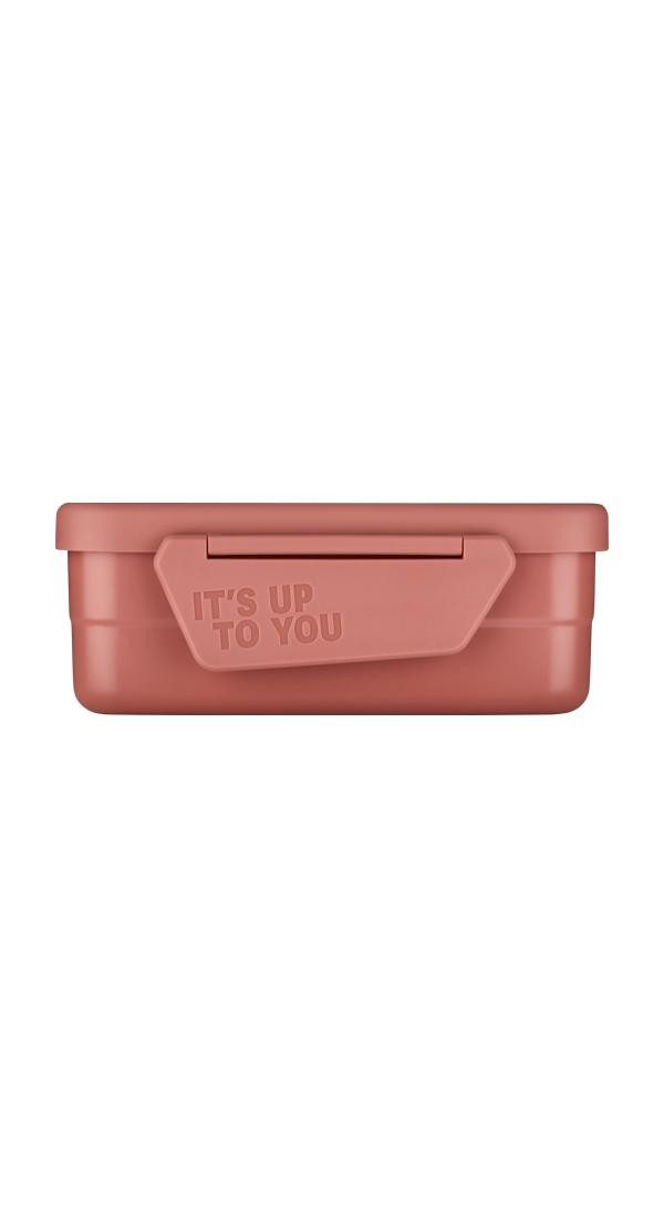Satch Lunchbox Edelstahl Brotdose, Edelstahl, (Edelstahl Brotdose, 3-tlg., 1x Brotdose, 1x Trennfach), spülmaschinengeeignet bis 45 Grad, Handwäsche empfohlen