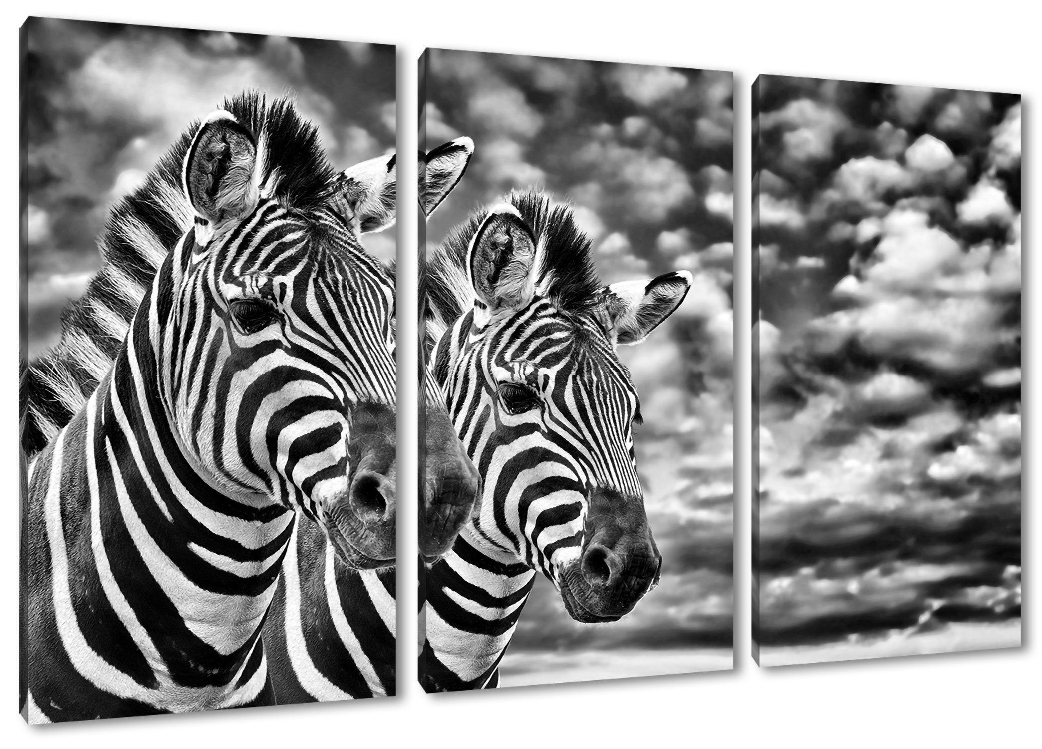 Pixxprint Leinwandbild Zebra Pärchen, Zebra Pärchen 3Teiler (120x80cm) (1 St), Leinwandbild fertig bespannt, inkl. Zackenaufhänger