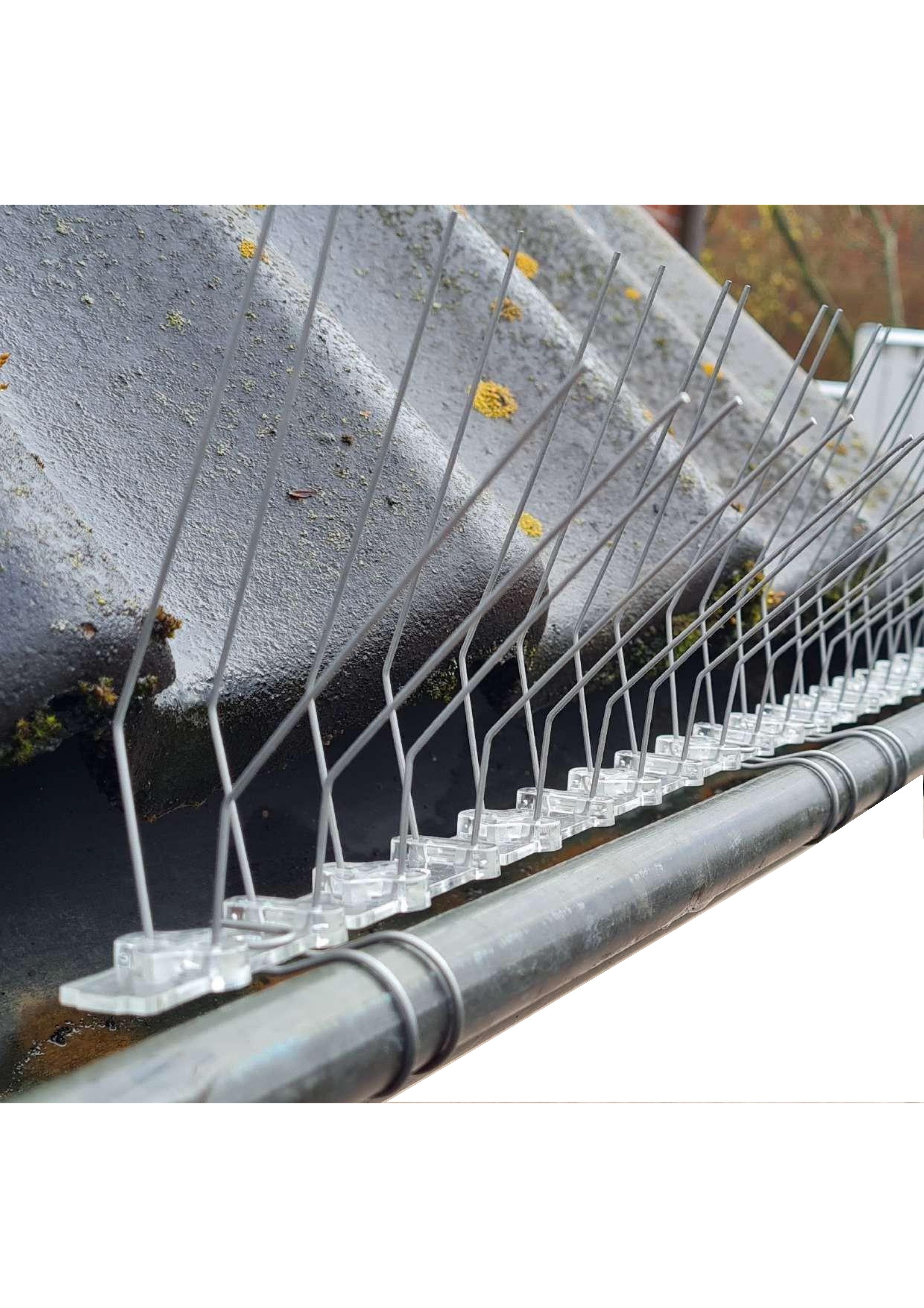 SAFA Taubenspikes 0,5 Meter Dachrinnenschutz/ Taubenabwehr inkl. 3 Befestigungsclips, Clips sind verträglich mit Dachrinnen aus Edelstahl/Kupfer/Blei