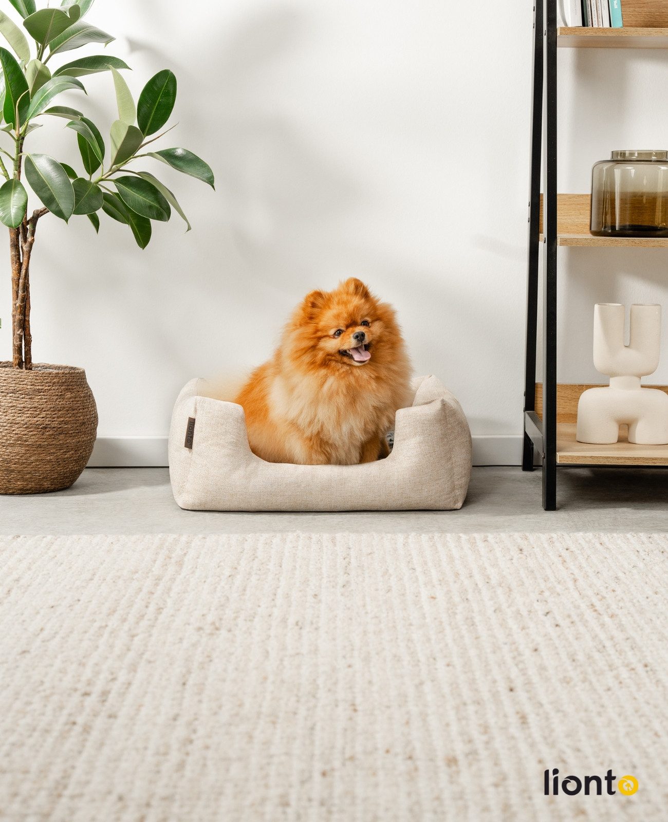 lionto Tierkissen mit herausnehmbarem Wendekissen, 60x50 cm beige, Textil, rutschfester Boden