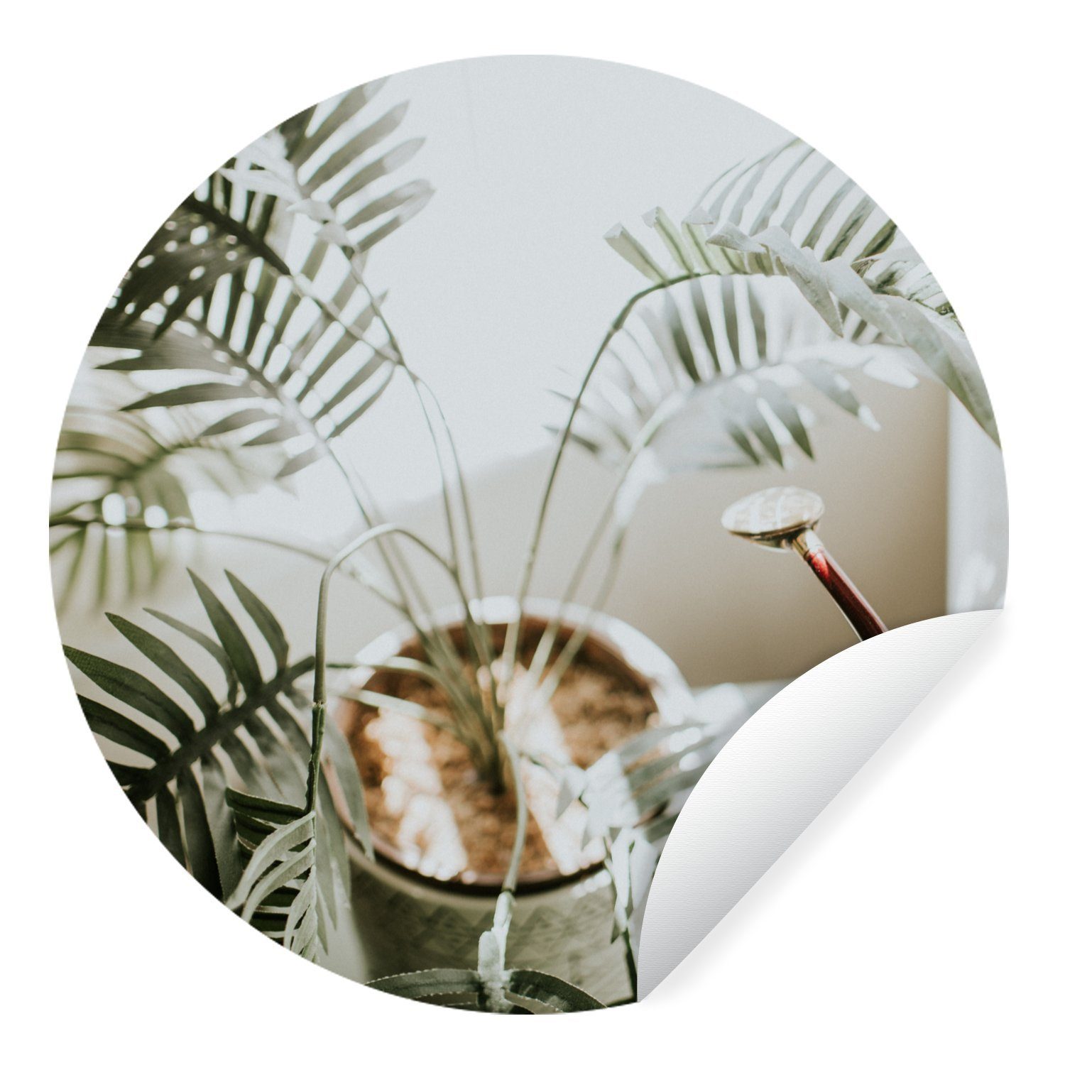 MuchoWow Wandsticker Pflanze im Wohnzimmer (1 St), Tapetenkreis für Kinderzimmer, Tapetenaufkleber, Rund, Wohnzimmer