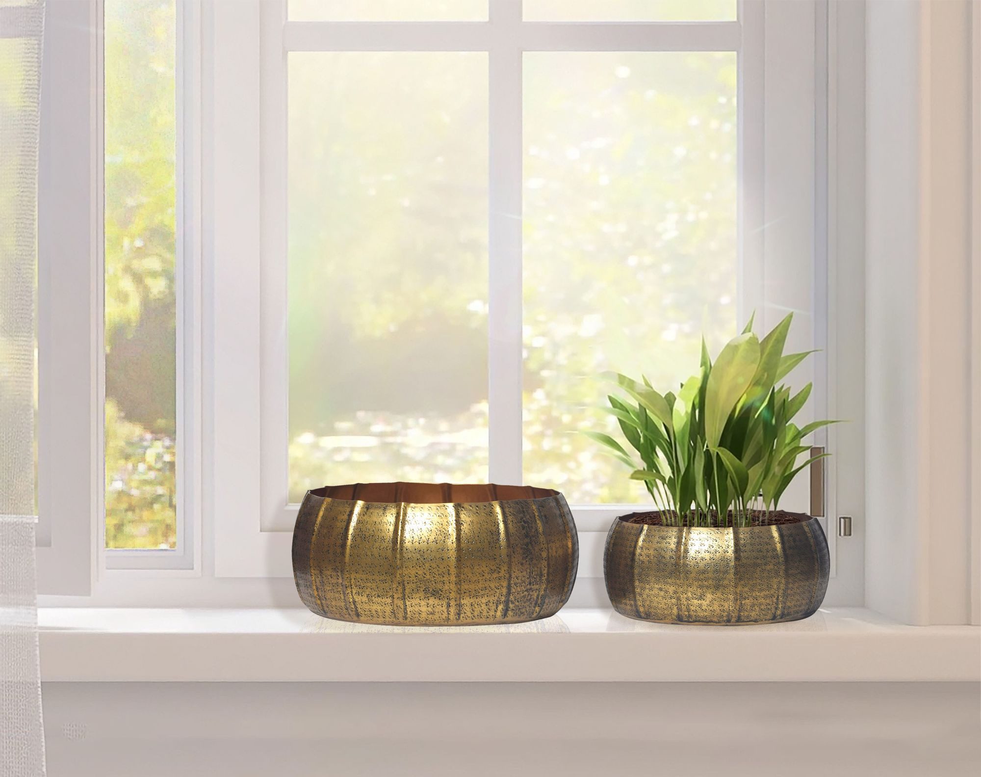 FINEBUY Blumentopf FB65135 Pflanzgefäß 2er Set Metall Schale Deko Rund Hamm günstig online kaufen