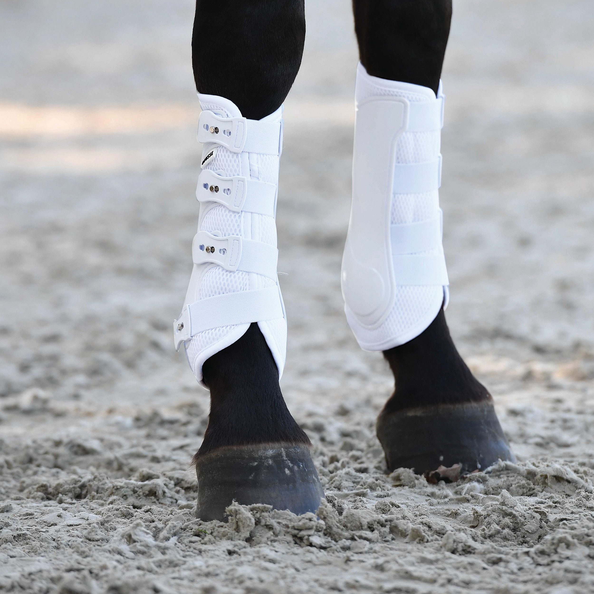 BUSSE Gamaschen Gamaschen Dressage-Pro-Mesh