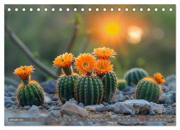 CALVENDO Wandkalender Kaktussi (Tischkalender 2025 DIN A5 quer), CALVENDO Monatskalender