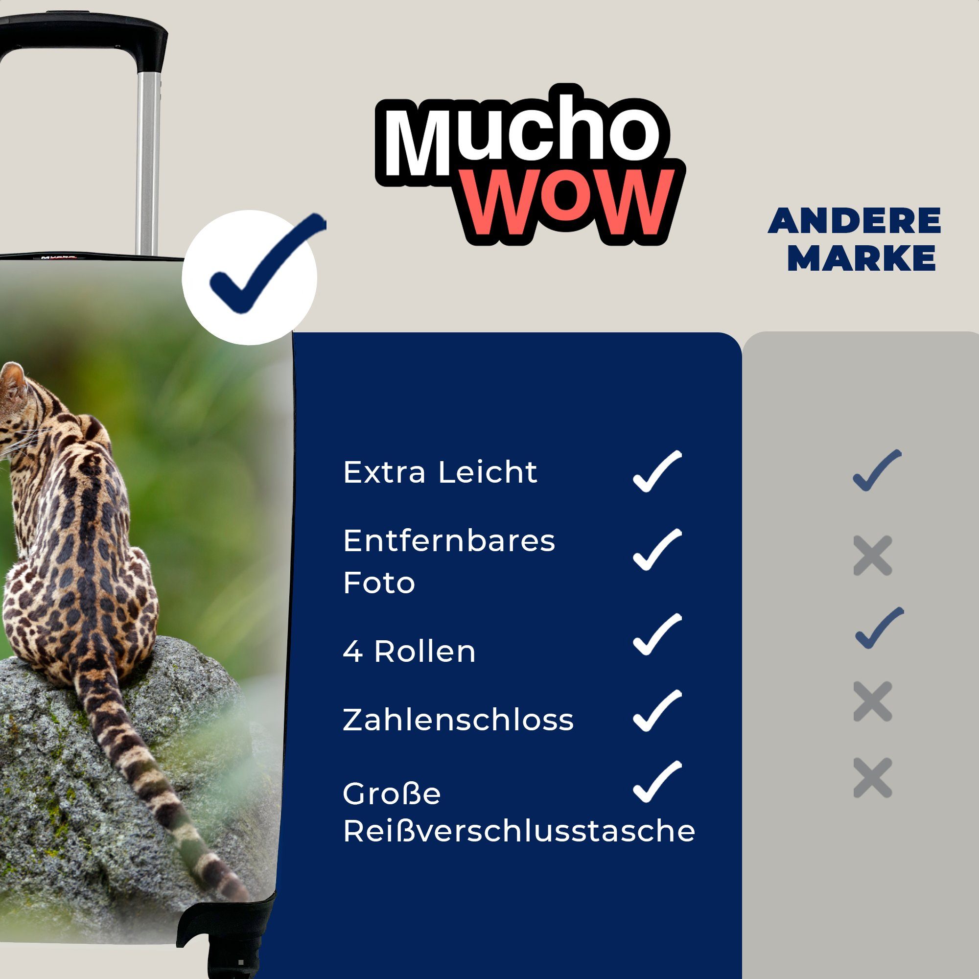 MuchoWow Handgepäckkoffer Baumkatze auf Stein, für Handgepäck 4 Ferien, Trolley, rollen, mit Reisetasche Rollen, Reisekoffer