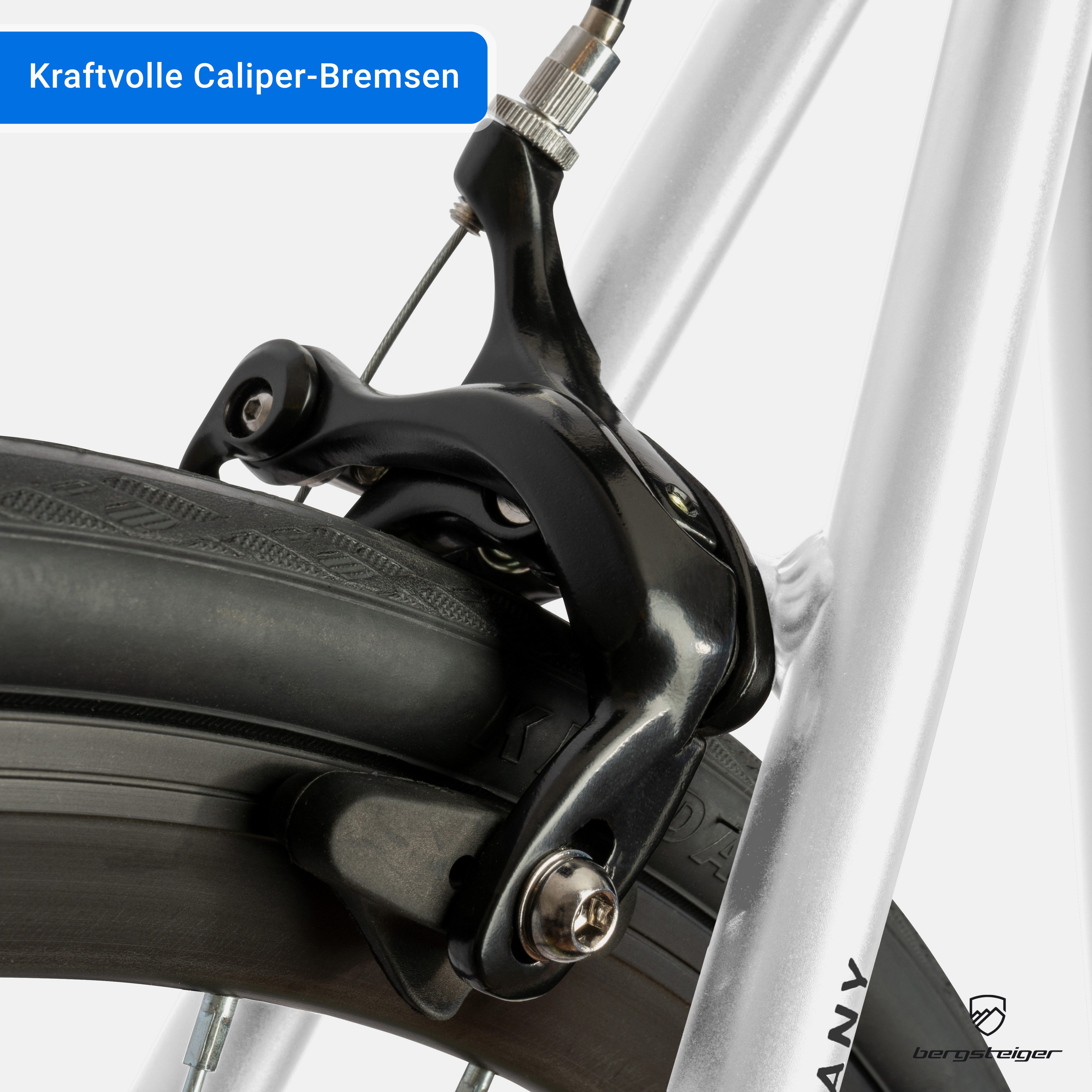 bergsteiger Urbanbike Kyoto 28 Zoll Singlespeed Fixie Fahrrad, Damen, Herren, 1 Gang, Caliper-Bremsen, Flip-Flop-Nabe
