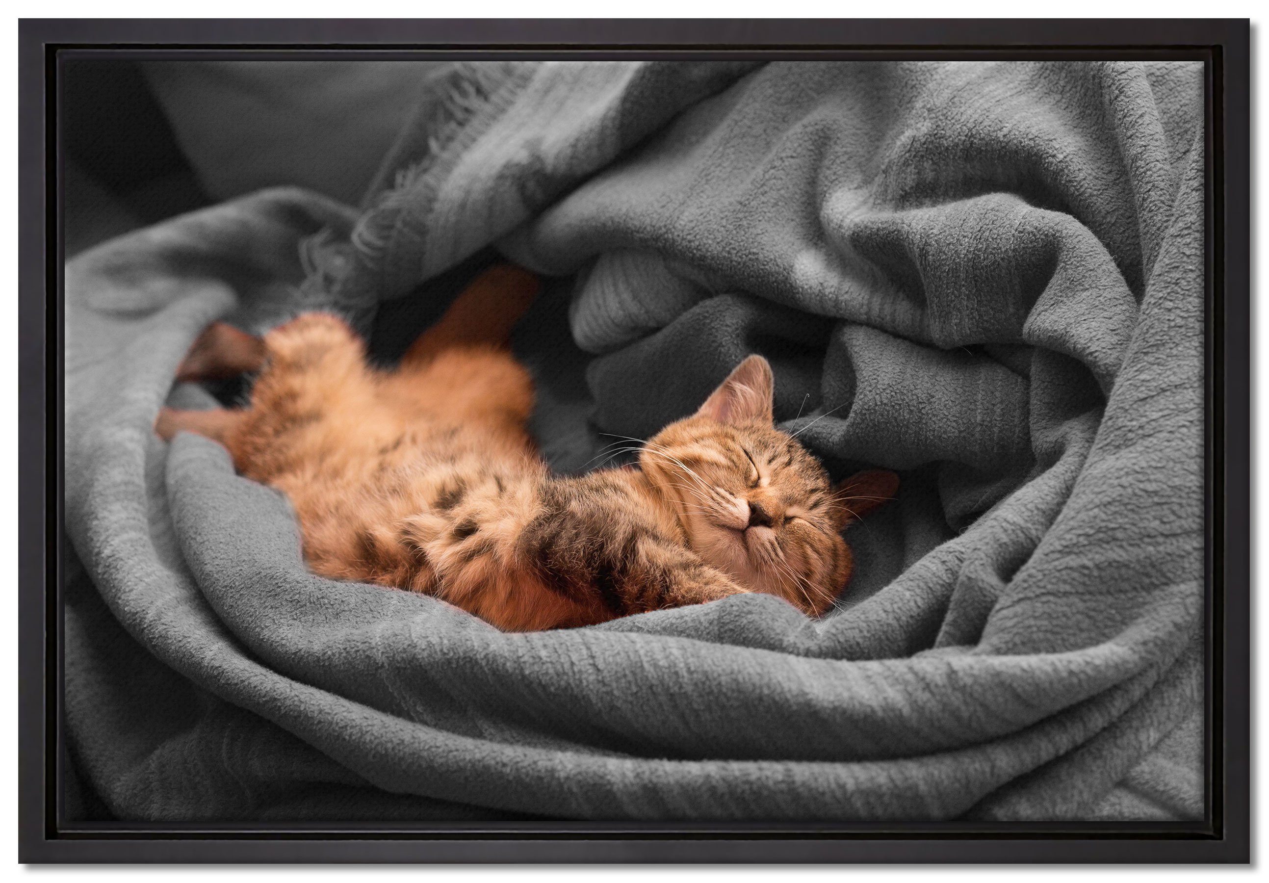 bespannt, Wanddekoration Katze, inkl. Schattenfugen-Bilderrahmen einem St), fertig Leinwandbild (1 Leinwandbild gefasst, schlafende bezaubernde Zackenaufhänger in Pixxprint