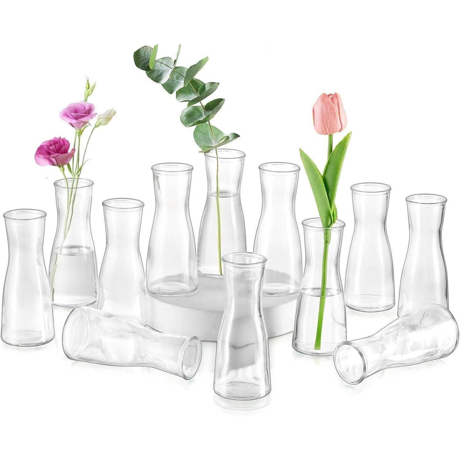 LuxusKollektion Tischvase Kleine Glasvasen Set Klar Blumenvase 12 Stück Modern Hochzeit Party