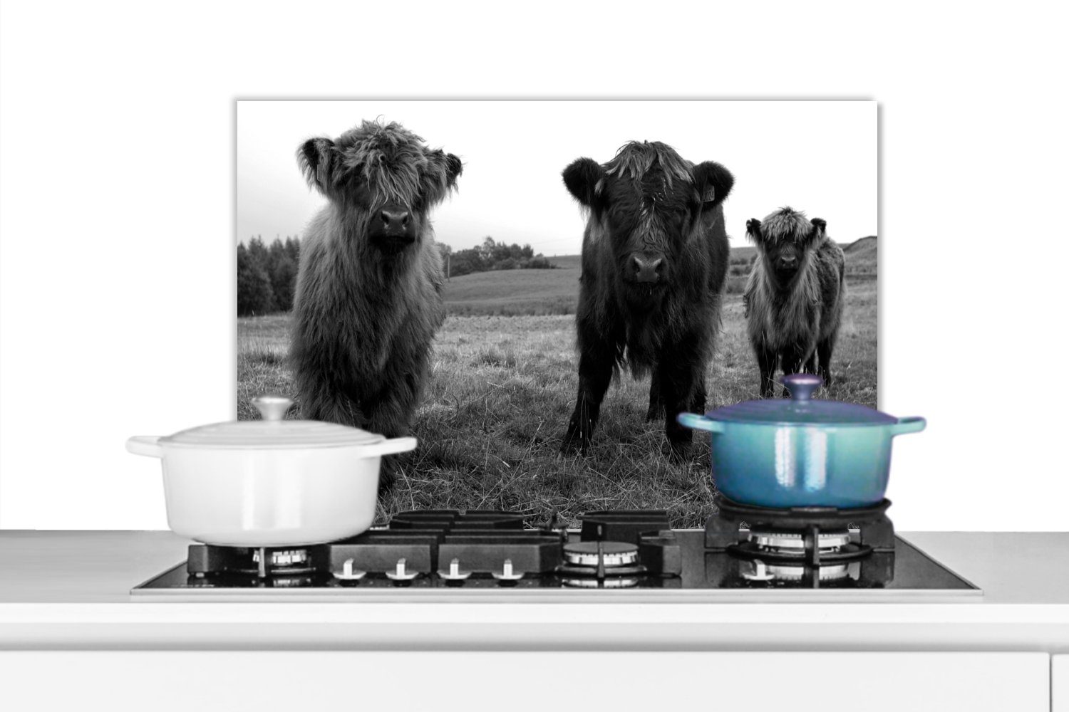 MuchoWow Küchenrückwand Schottische Highlander - Kühe - Natur - Grün - Gras, (1-tlg), Spritzschutz Küche - Küchenrückwand - Wandschutz für Herd und Spüle -