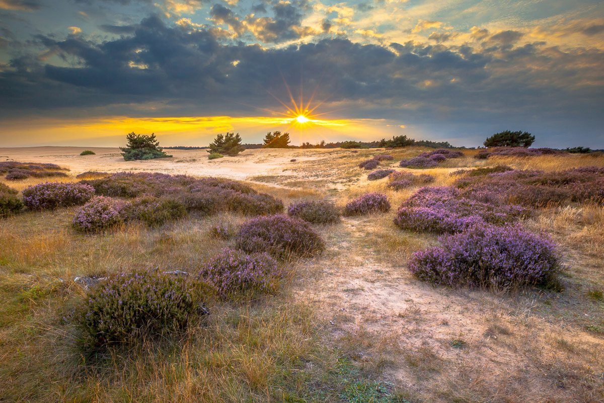 Landschaft Papermoon Fototapete