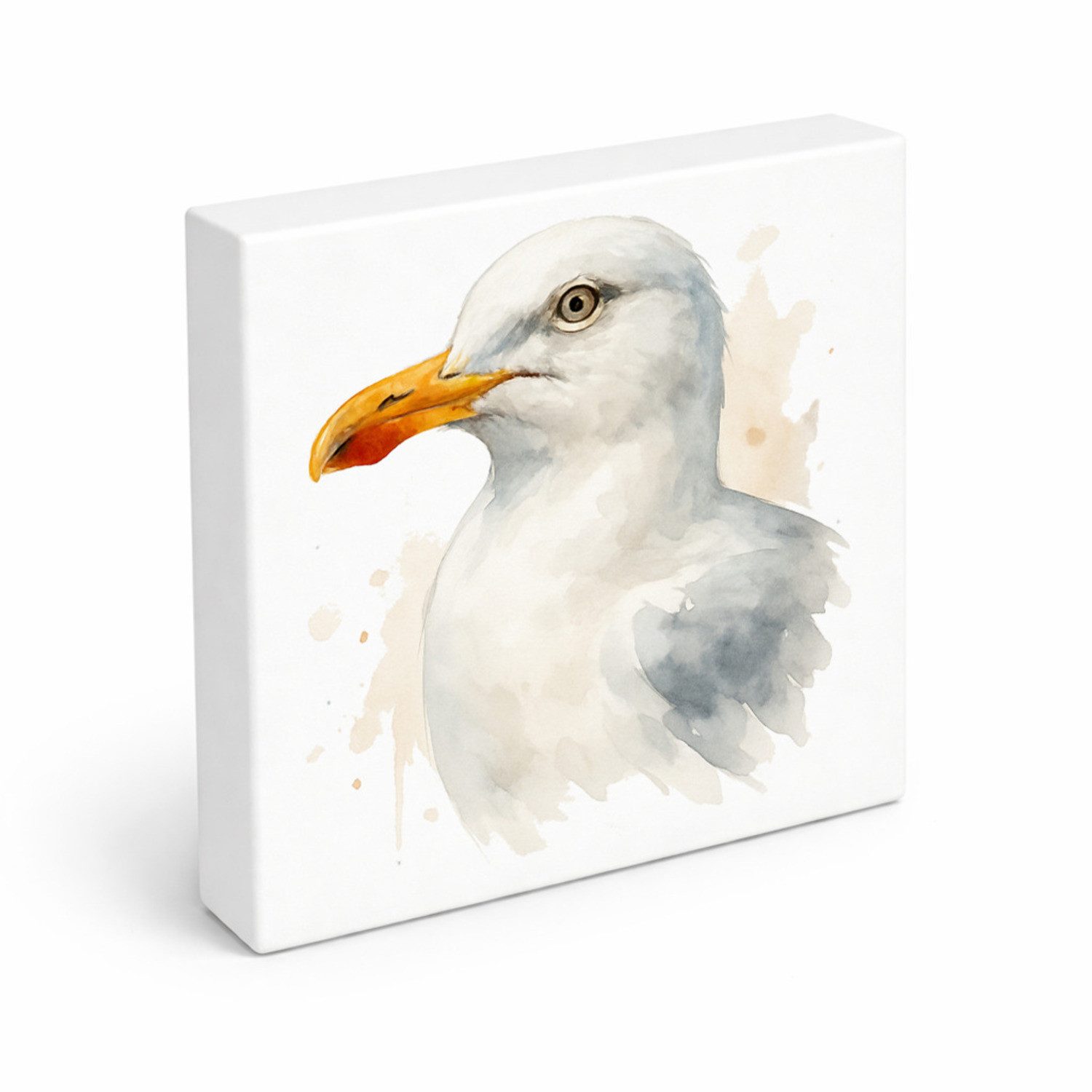 speecheese Holzbild Vogelparade Aquarell Möwe Holzbild in 15x15 cm zum Stellen oder, 15x15 cm