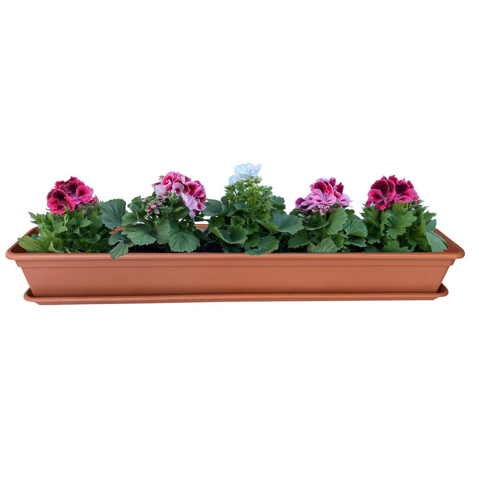 BURI Blumenkasten Blumenkasten Terracotta 80 oder 100cm Balkonkasten Pflanzkasten (1 St)