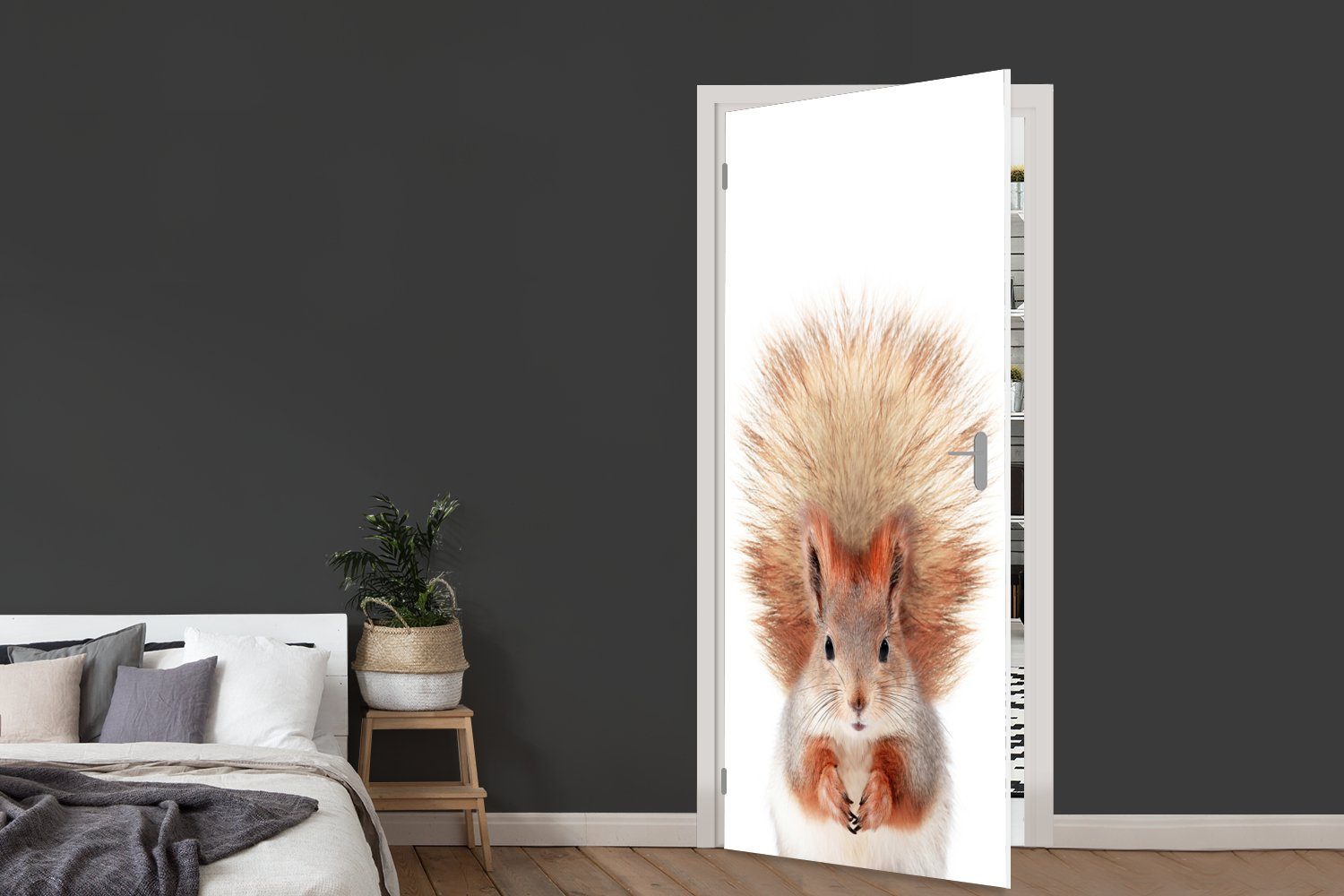 Weiß, - für Orange Matt, Tür, MuchoWow - Natur (1 75x205 - St), Eichhörnchen Türtapete Türaufkleber, Fototapete Tiere bedruckt, - cm