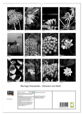 CALVENDO Wandkalender Blumige Graustufen - Schwarz und Weiß (Premium, hochwertiger DIN A2 Wandkalender 2023, Kunstdruck in Hochglanz)