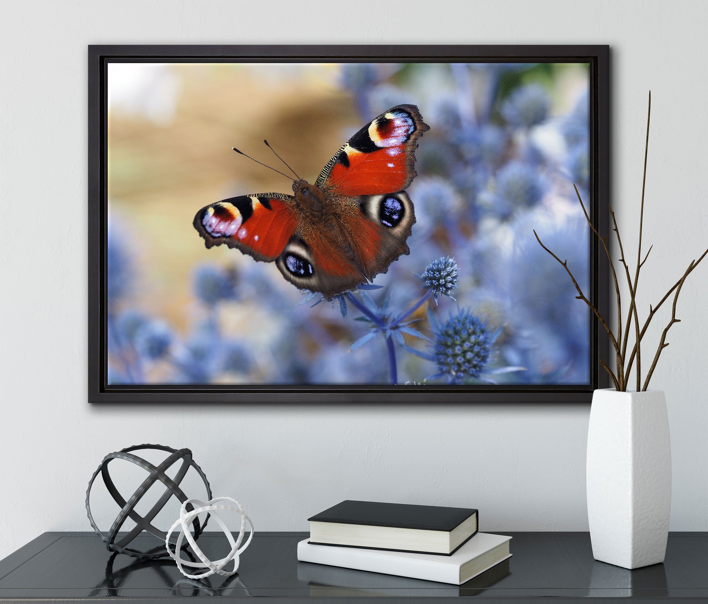 Pixxprint Leinwandbild Schöner Schmetterling gefasst, Wanddekoration einem bespannt, Zackenaufhänger Schattenfugen-Bilderrahmen Leinwandbild Pfauenauge, in inkl. (1 St), fertig